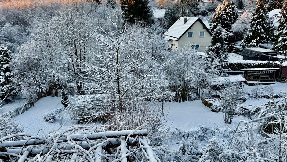 Een vogelhuisje opgehangen in een wintertuin. Een vogelhuisje opgehangen in een wintertuin.