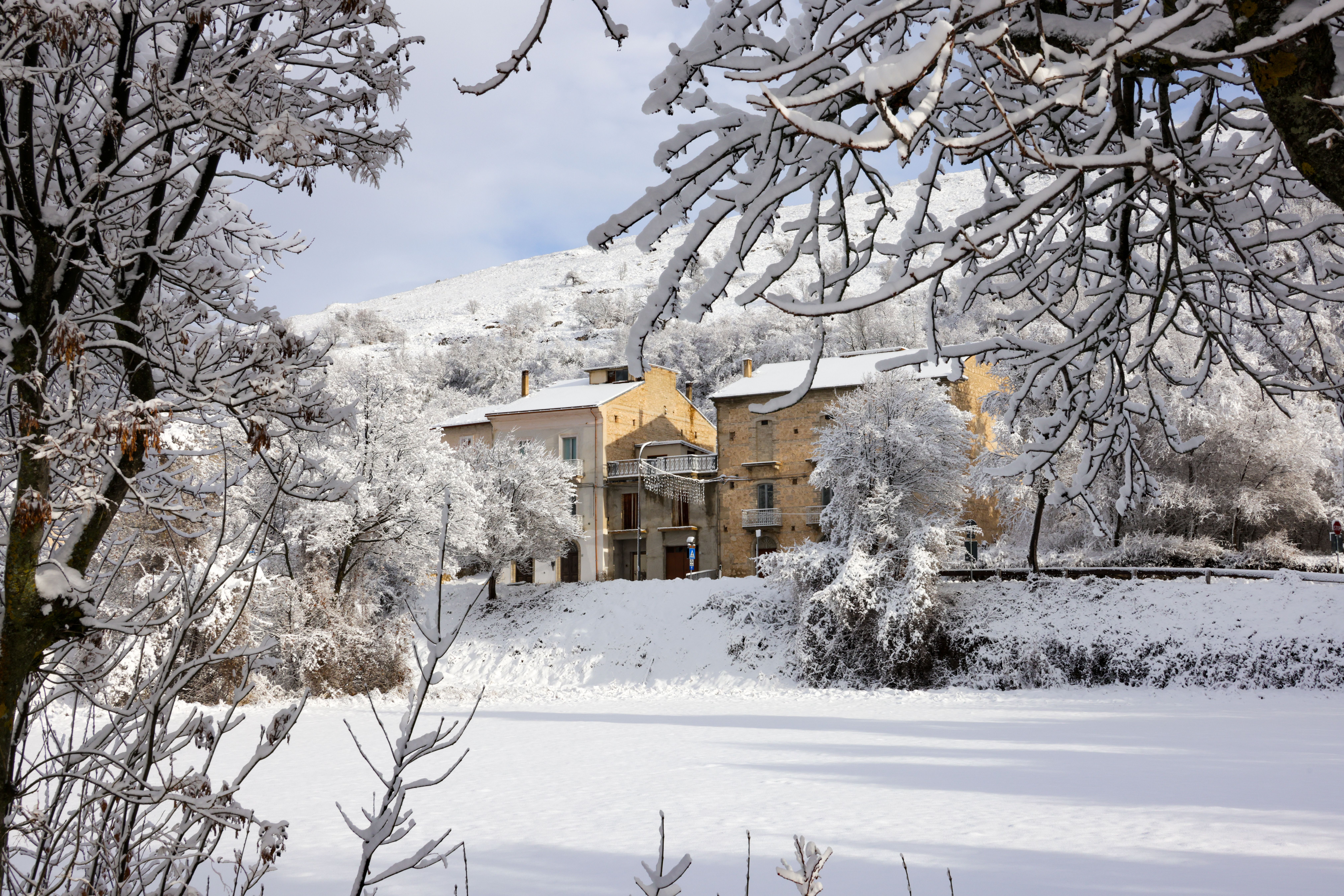 Vue pittoresque d'un village paisible recouvert de neige, entouré d'arbres hivernaux.