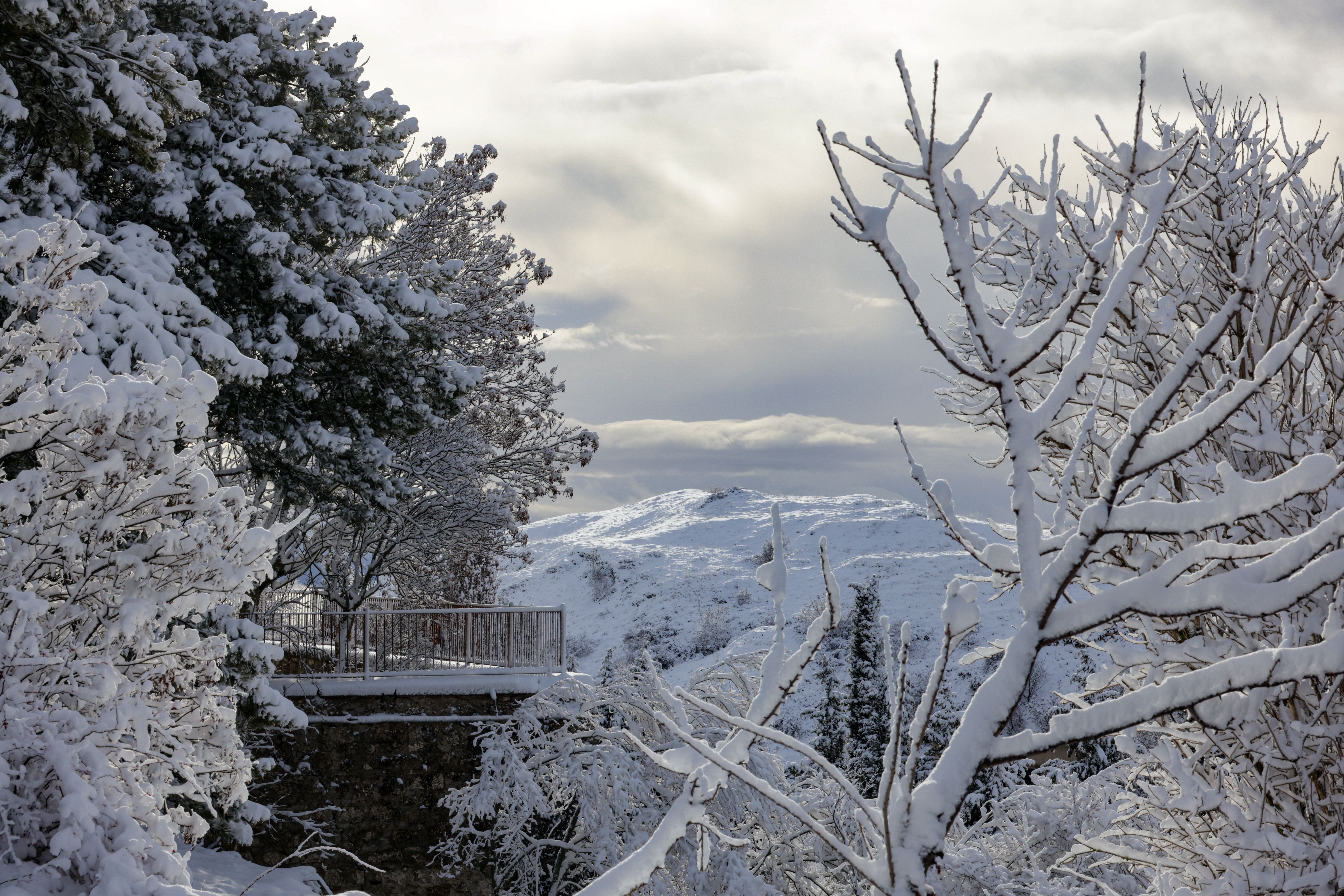 Gratis Un sereno paesaggio invernale con alberi innevati e montagne in lontananza, che creano un pacifico paese delle meraviglie innevato. Foto a disposizione