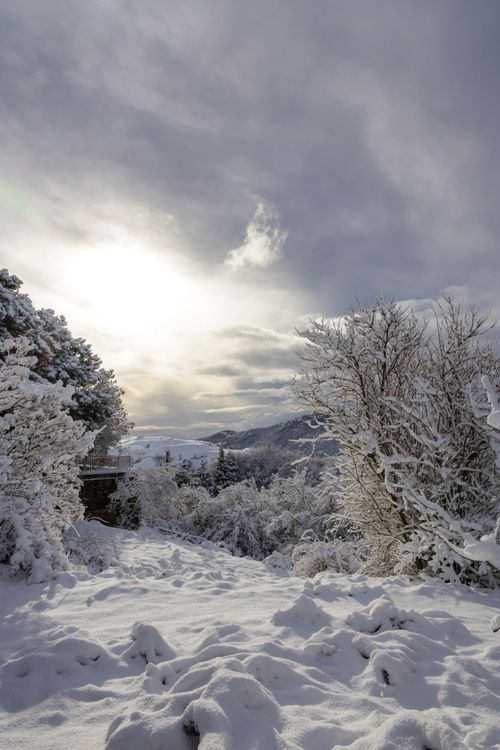 Free A serene winter mountain scene with snow-covered trees and sunlight piercing the clouds. Stock Photo