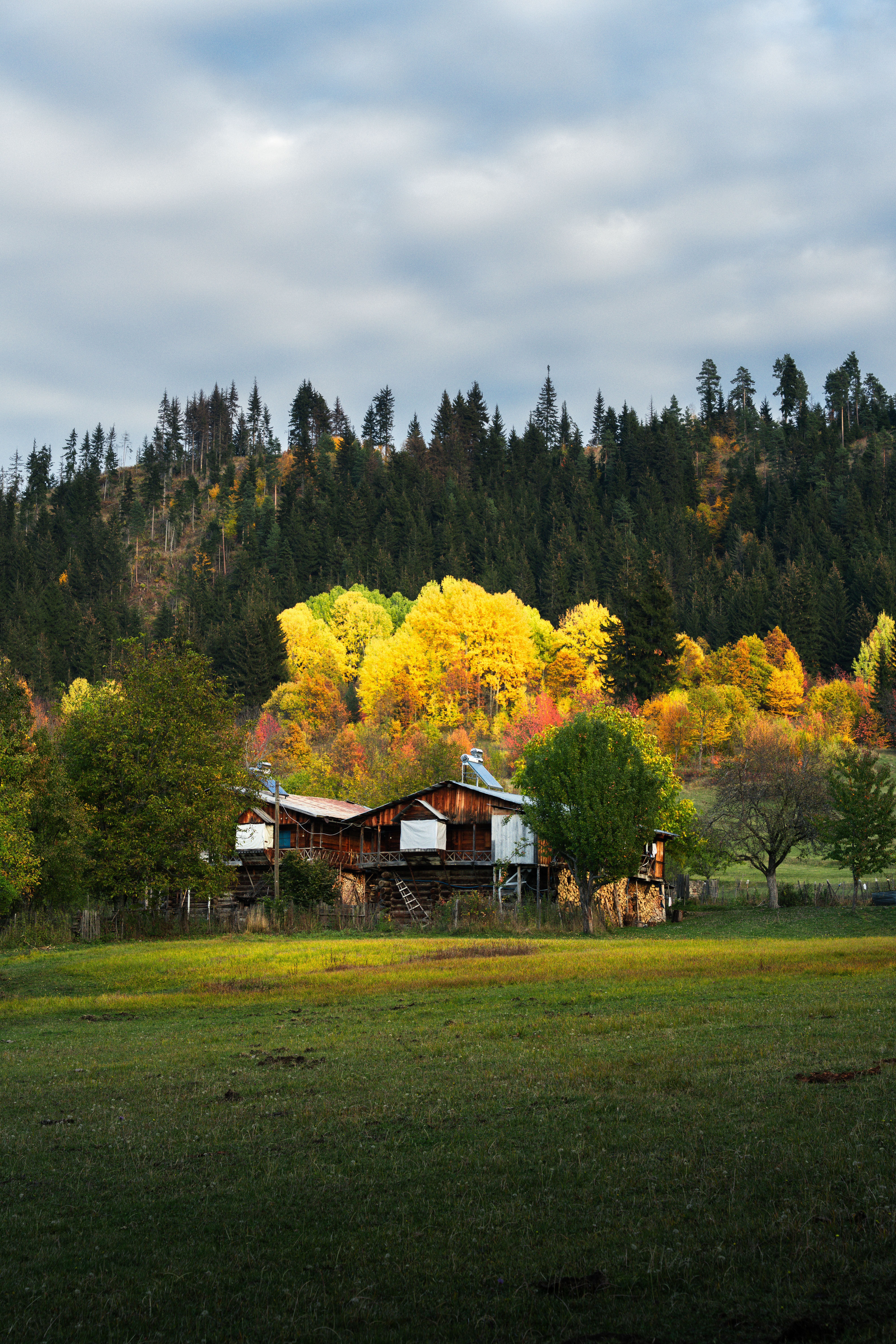 Rustic Cabin Surrounded by Vibrant Autumn Foliage · Free Stock Photo