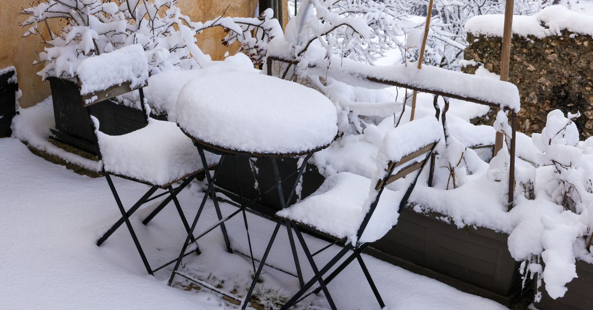10 Astuces Incontournables pour Protéger vos Plantes en Hiver