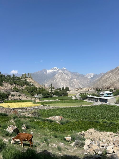 Free Serene view of mountains and lush fields in Gilgit-Baltistan under a clear blue sky. Stock Photo