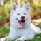 Happy pet owner 4