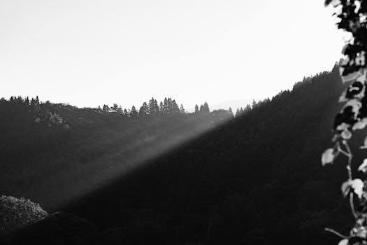 Black and white image of a misty mountain landscape with dense fog and dramatic lighting.
