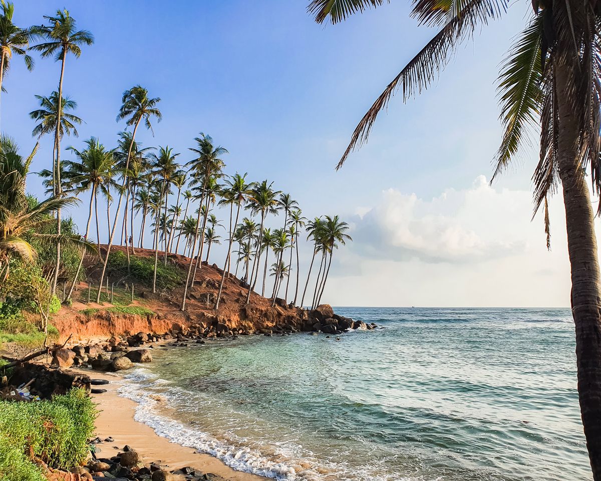 Mirissa beach coastline with palm trees, Sri Lanka