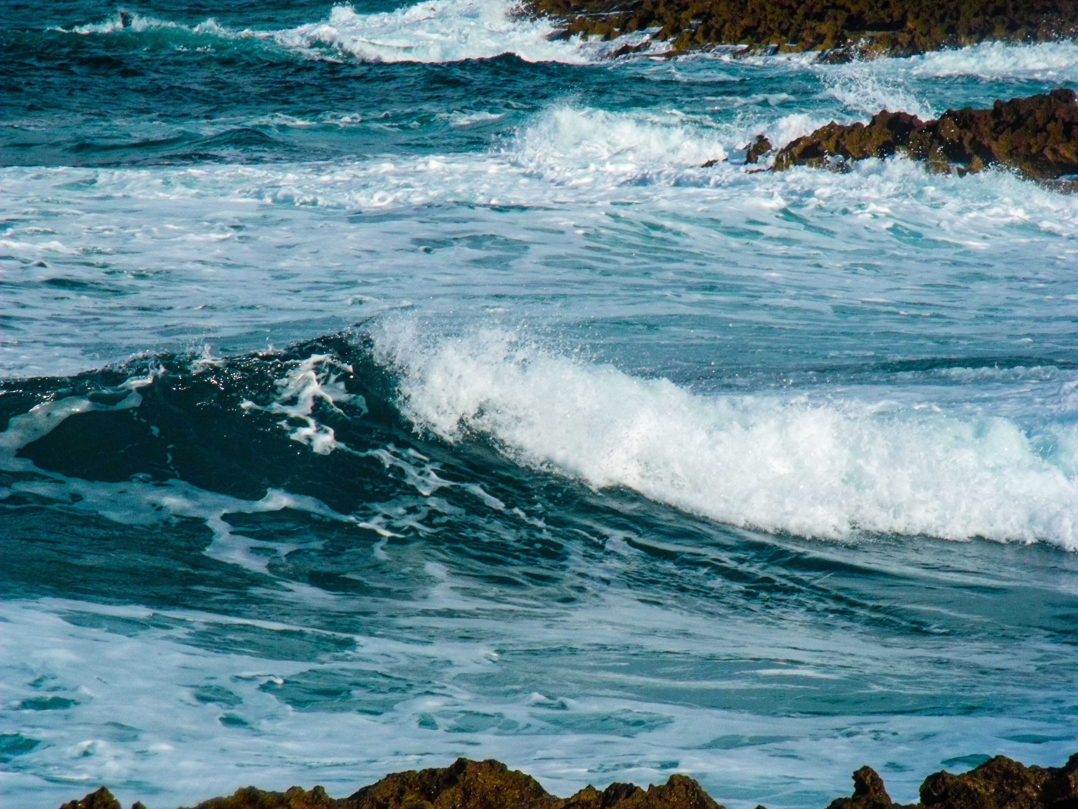 Dynamic Ocean Waves Crashing on Rocky Shore · Free Stock Photo