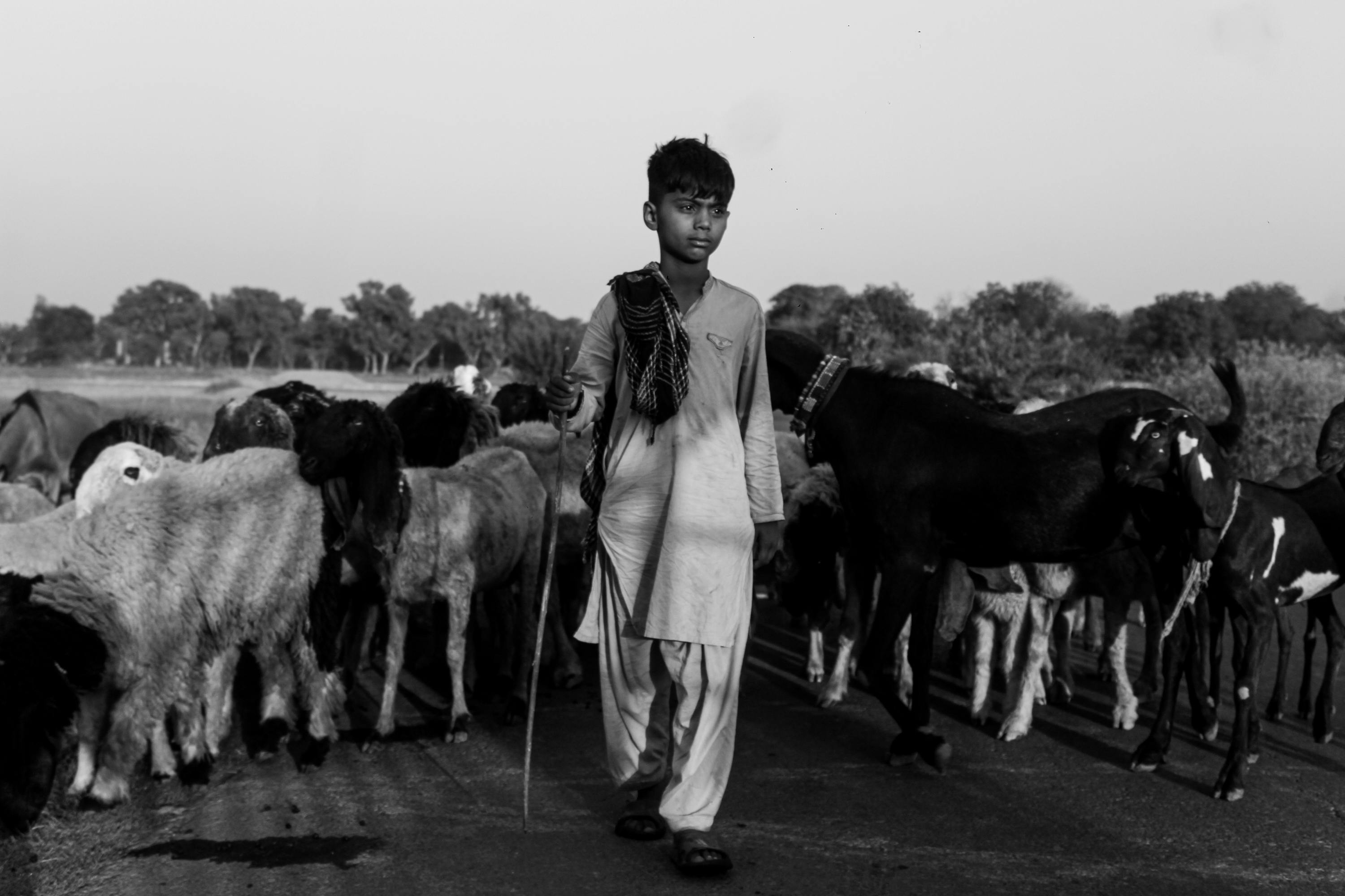 The Side Hustle Dream in Pakistan: 15 Business Ideas to Try in 2026 — Photo by Muhammad Sajawal  Fareed on Pexels