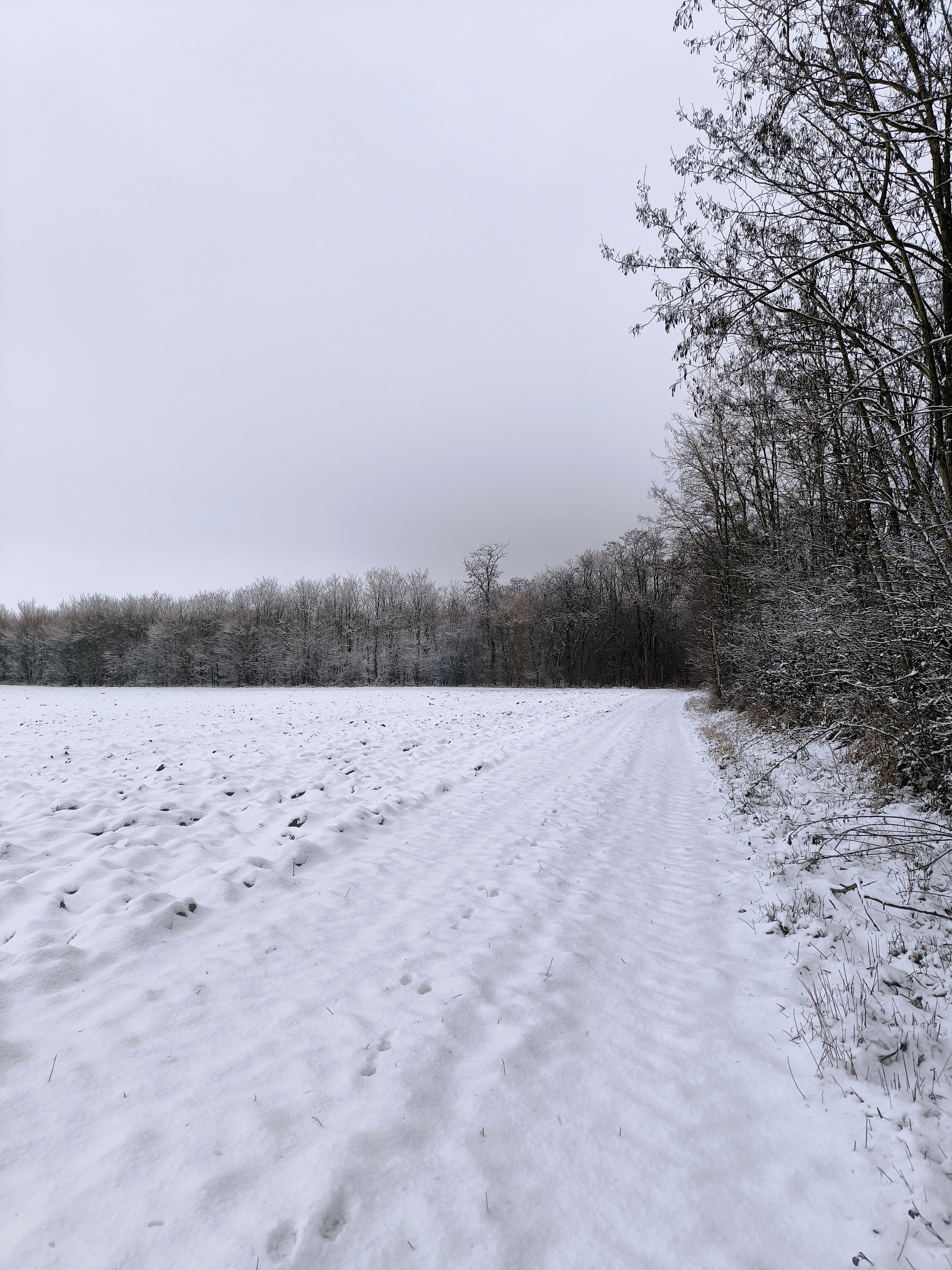 Snow Particles Png Photos, Download The BEST Free Snow Particles Png ...