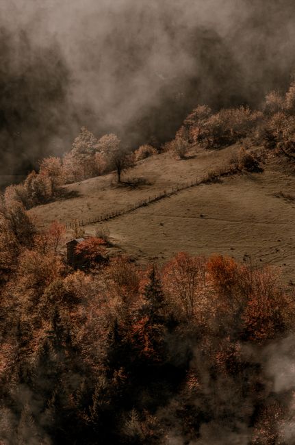 A misty autumn scene in a forested valley with colorful foliage and visible fog.