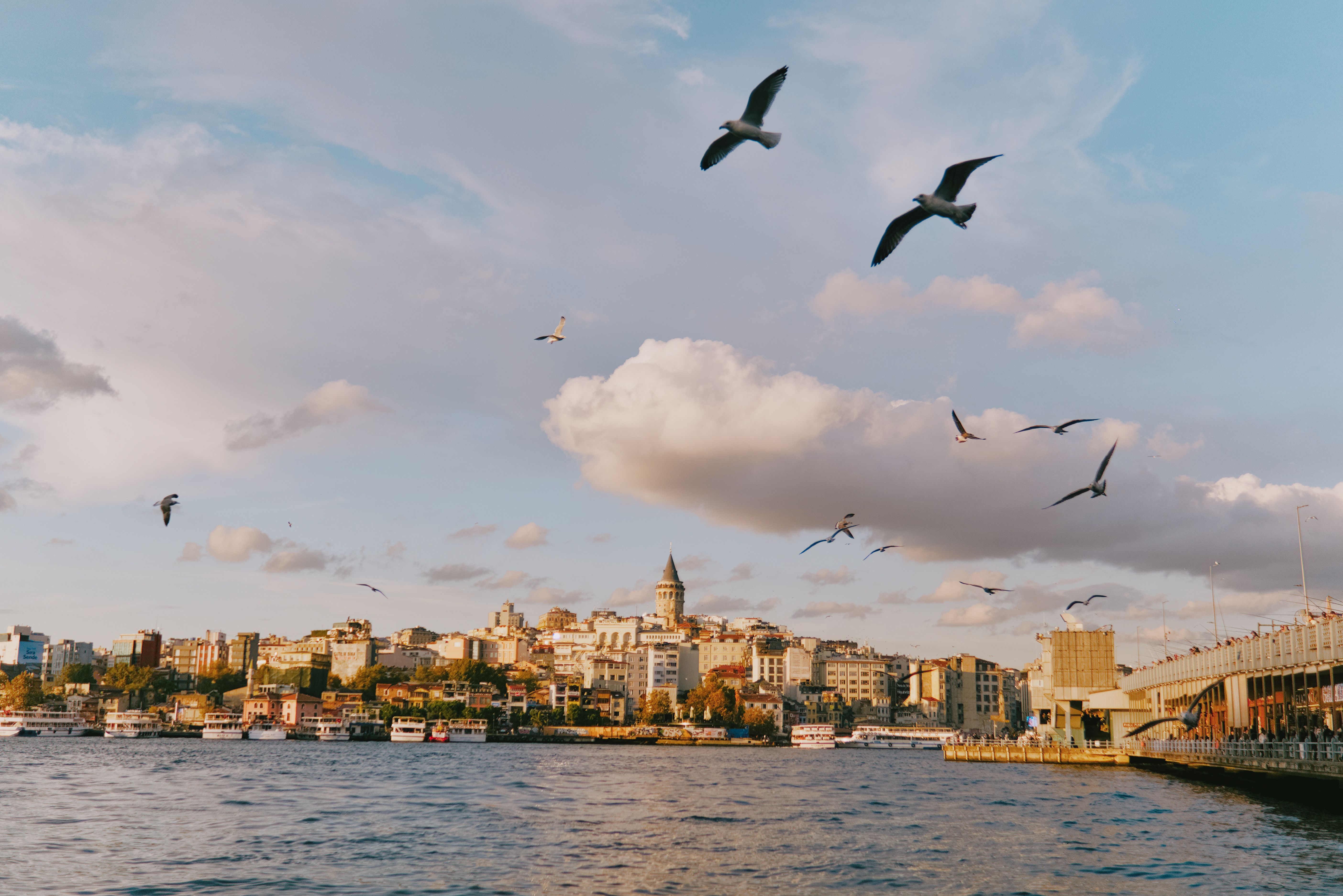 A picturesque view of Istanbul's skyline at sunset, featuring Galata Tower and flying seagulls.