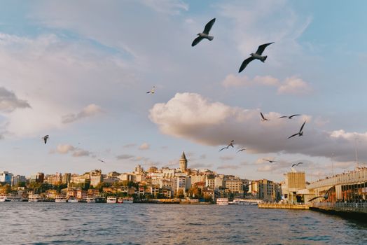 A picturesque view of Istanbul's skyline at sunset, featuring Galata Tower and flying seagulls.