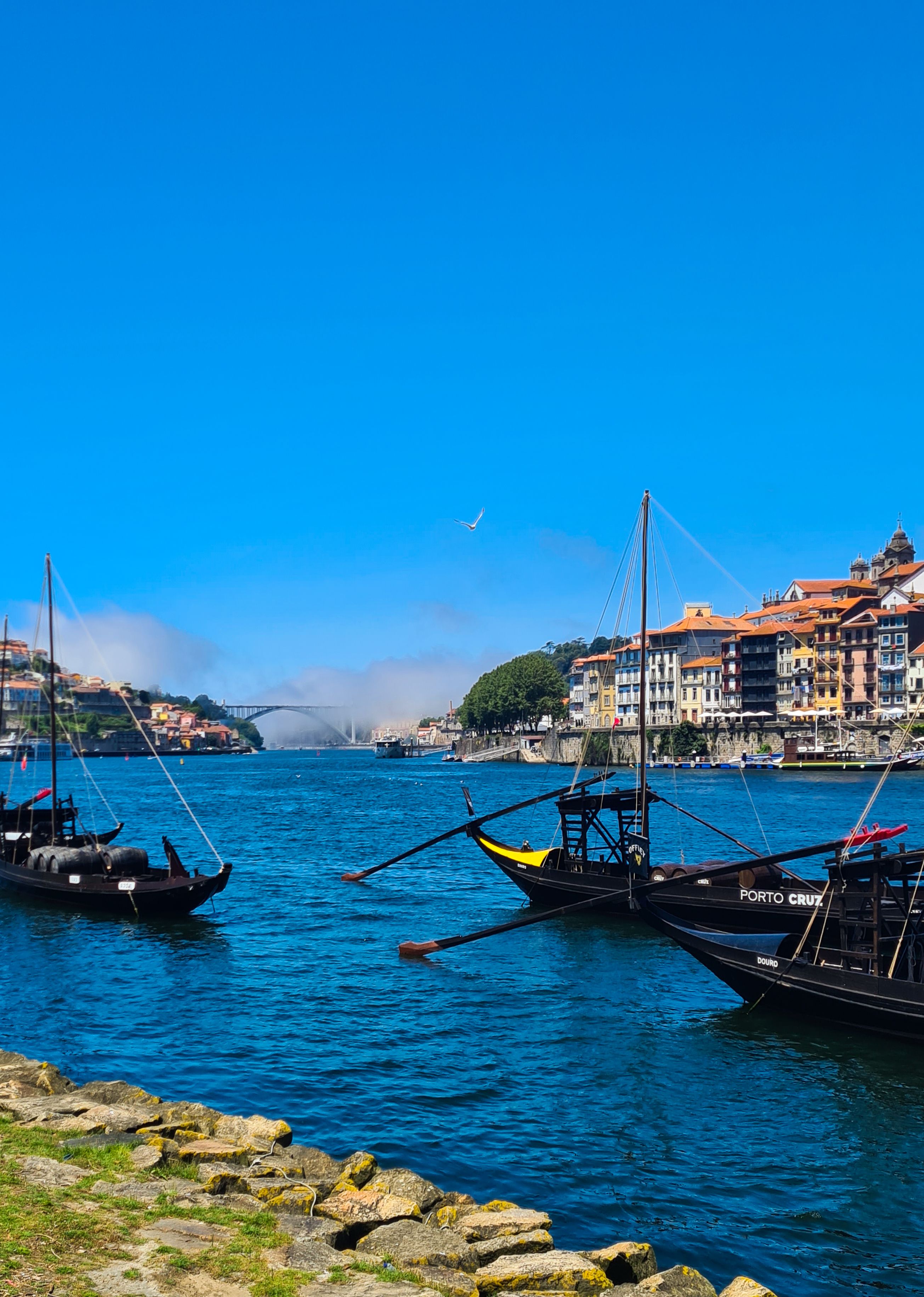 Scenic View of Porto Riverside with Traditional Boats · Free Stock Photo