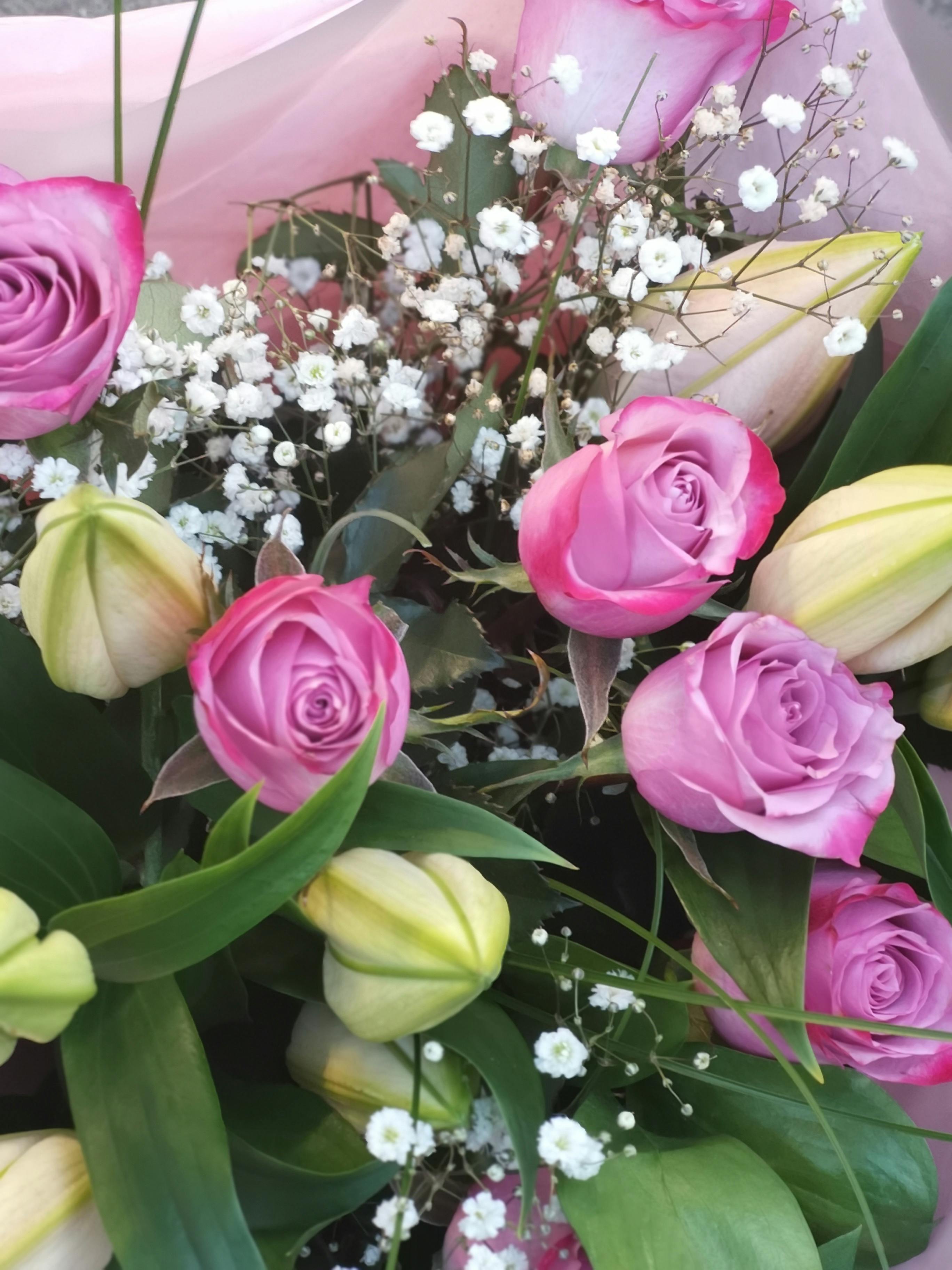 Free stock photo of beautiful flowers, blooming flowers, bouquet of flowers