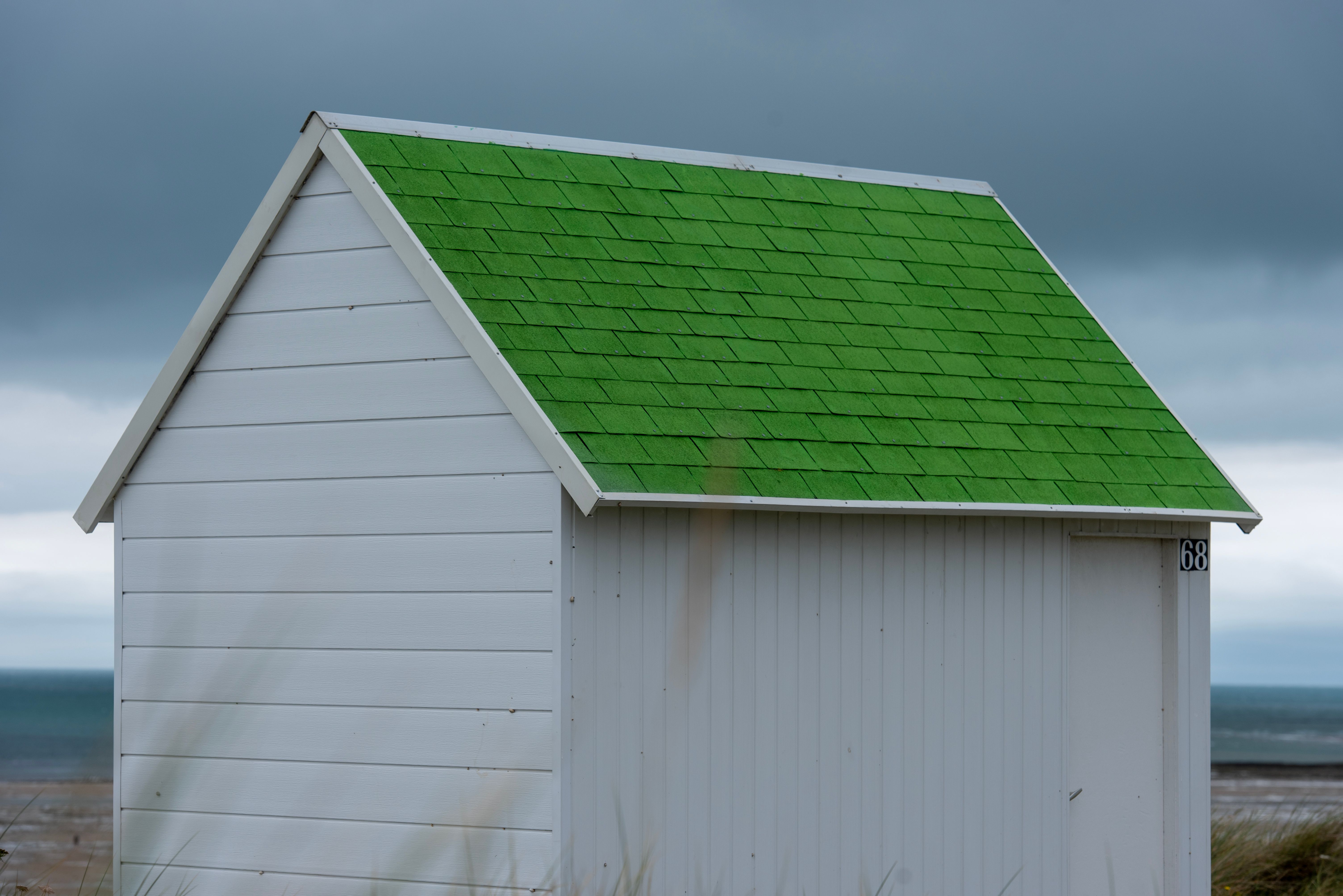 Groen dak met diverse planten en bloemen.