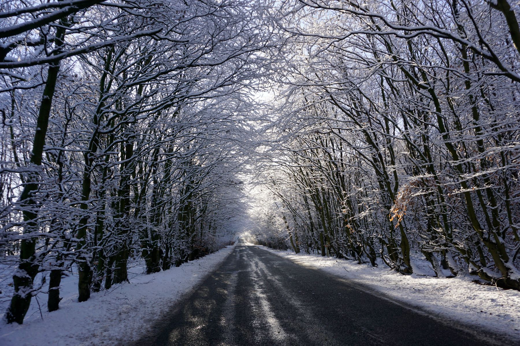 Winter Breaks in North Yorkshire: Where to Stay, What's Open and What to Skip