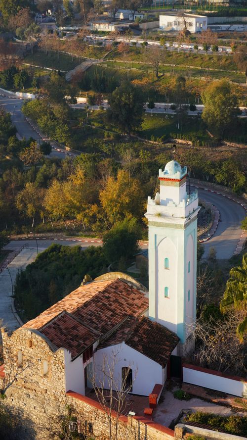 Free A picturesque aerial view showcasing an ancient mosque surrounded by vibrant greenery. Stock Photo