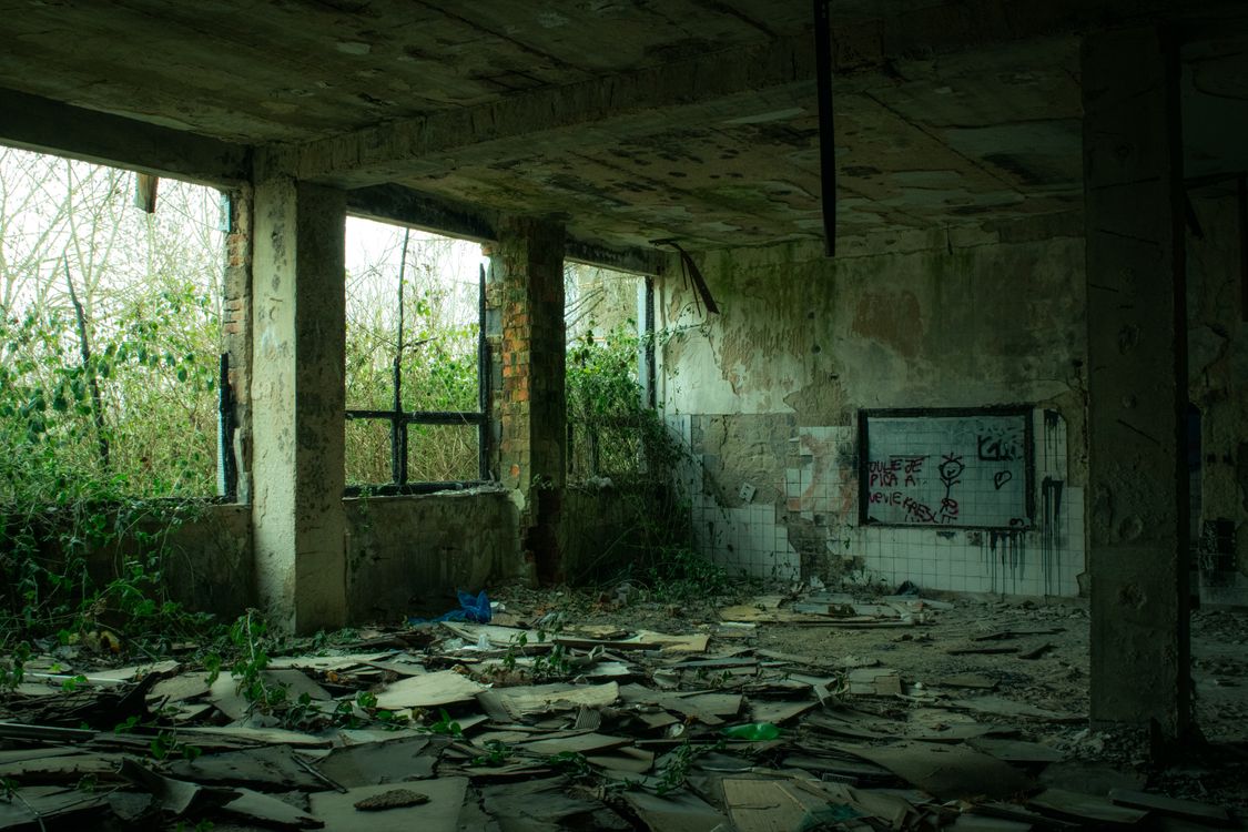 Decay and Overgrowth in Abandoned Building · Free Stock Photo