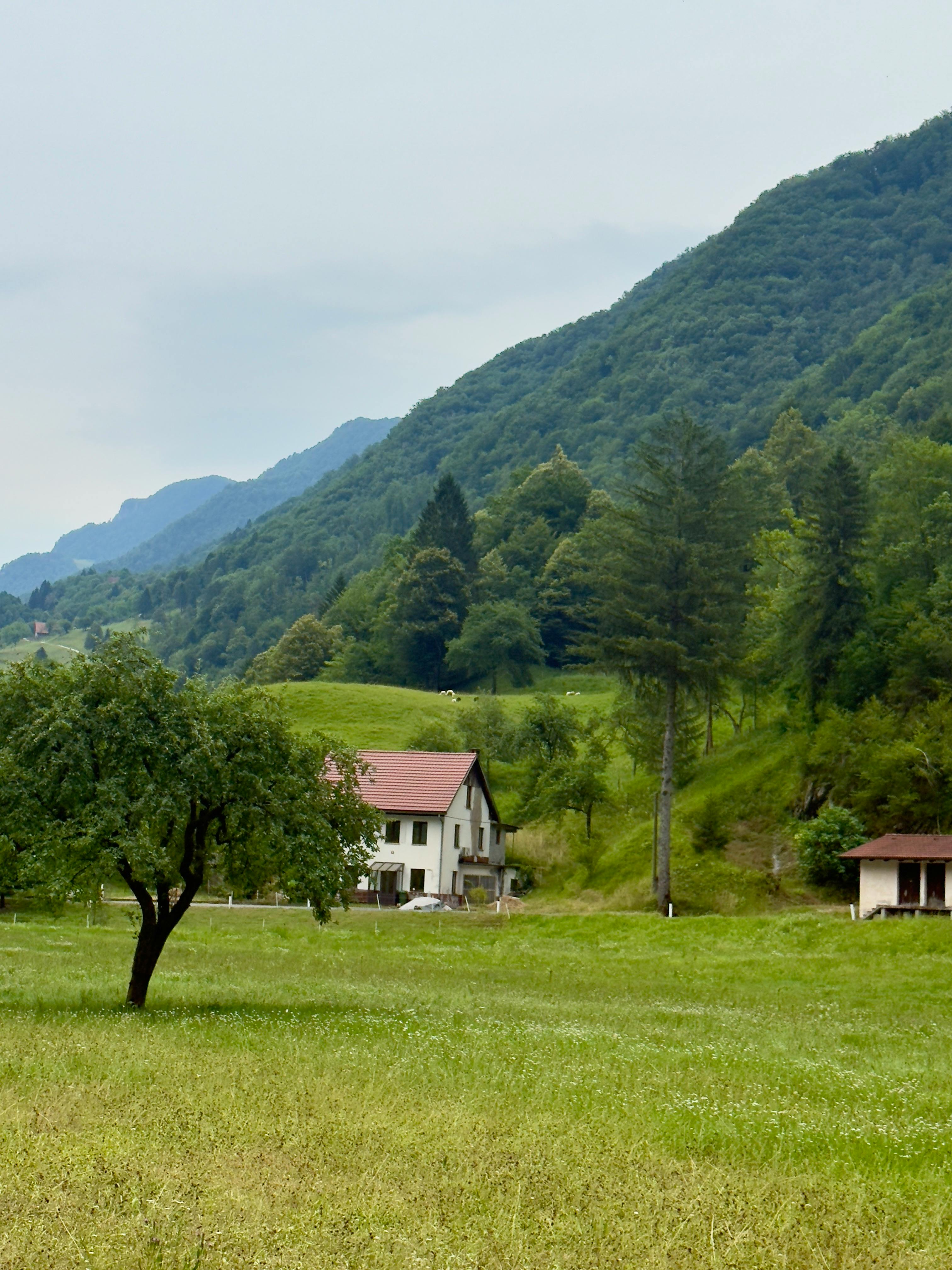 User Experience and‍ Safety ‌Features of the Breville Hemisphere