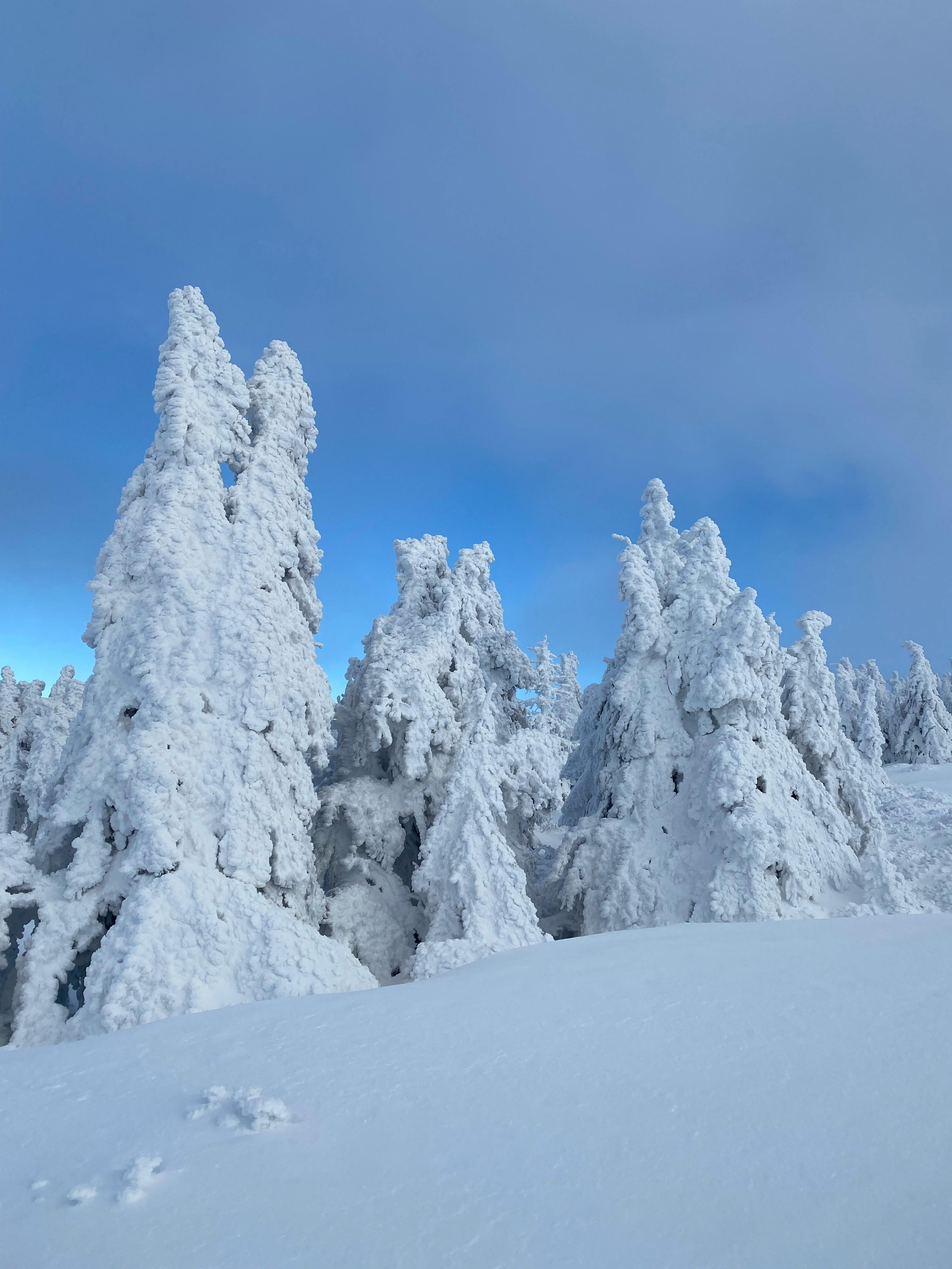 지역 트래픽 분석