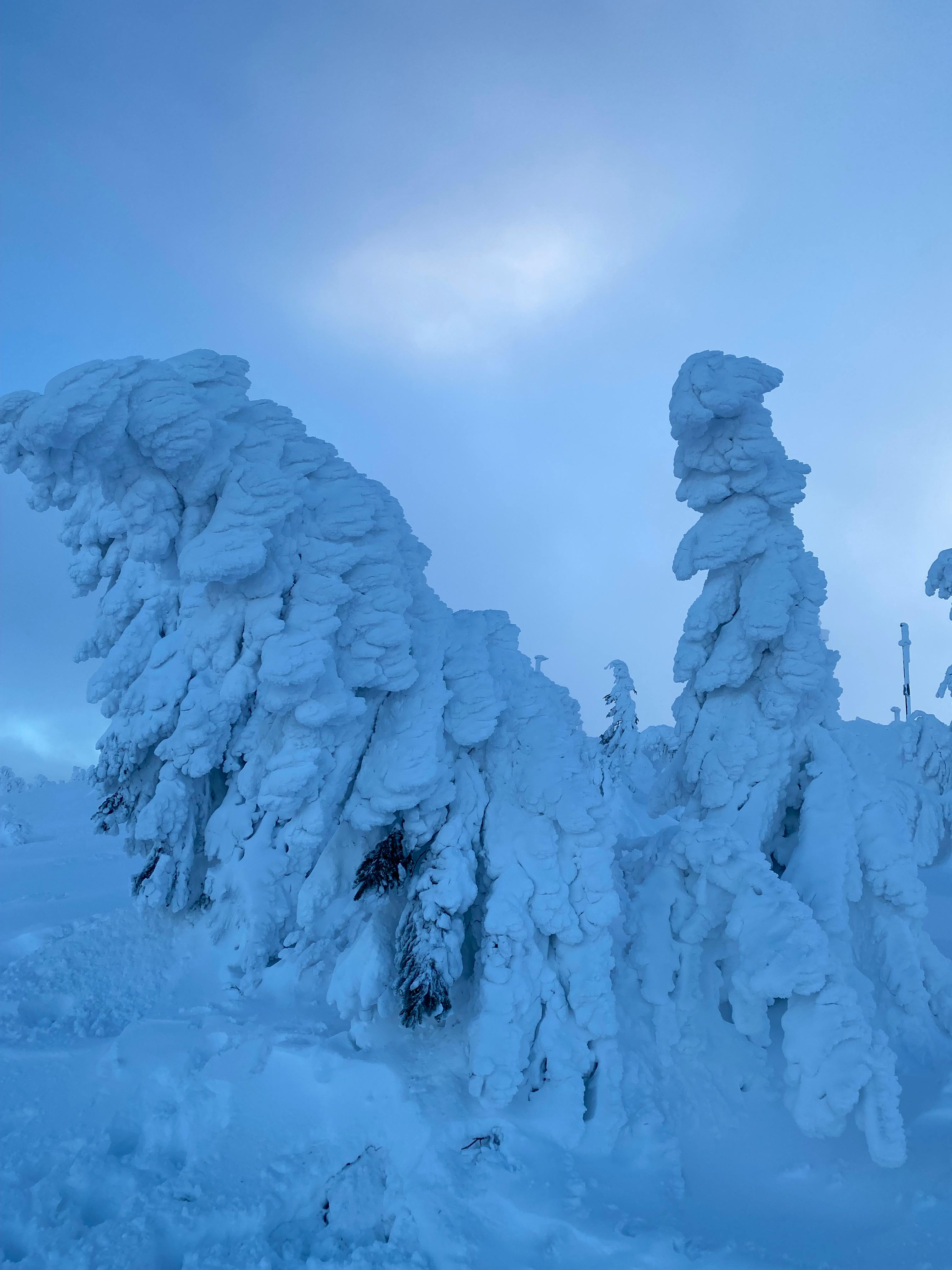 유튜브 상위노출