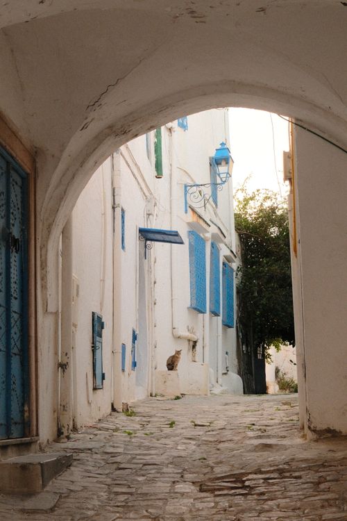 Free Discover the iconic white and blue architecture of Sidi Bou Said's quaint alleyways. Stock Photo