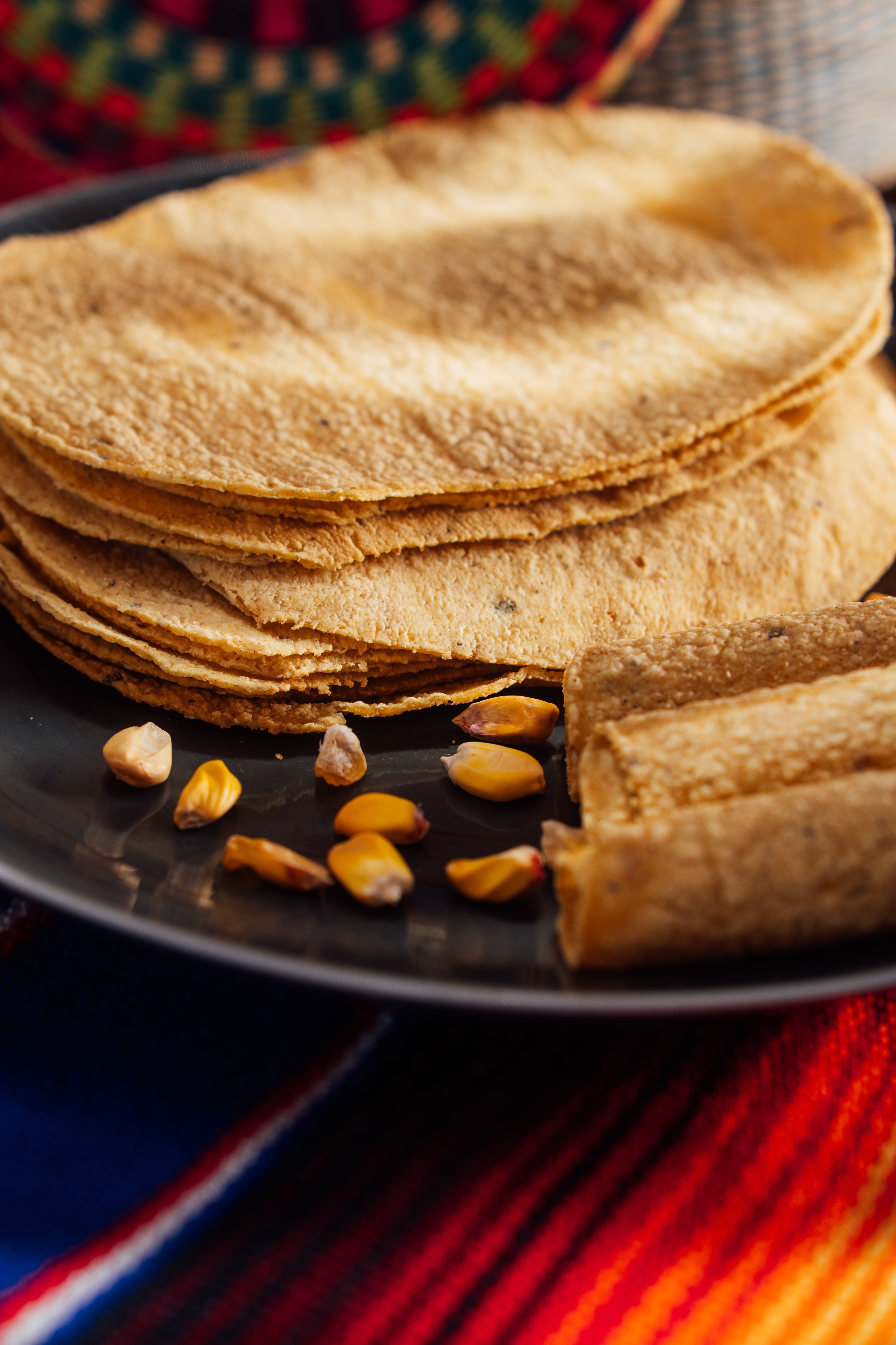Photo Roti Portrait Close-up Photo of Roti · Free Stock Photo