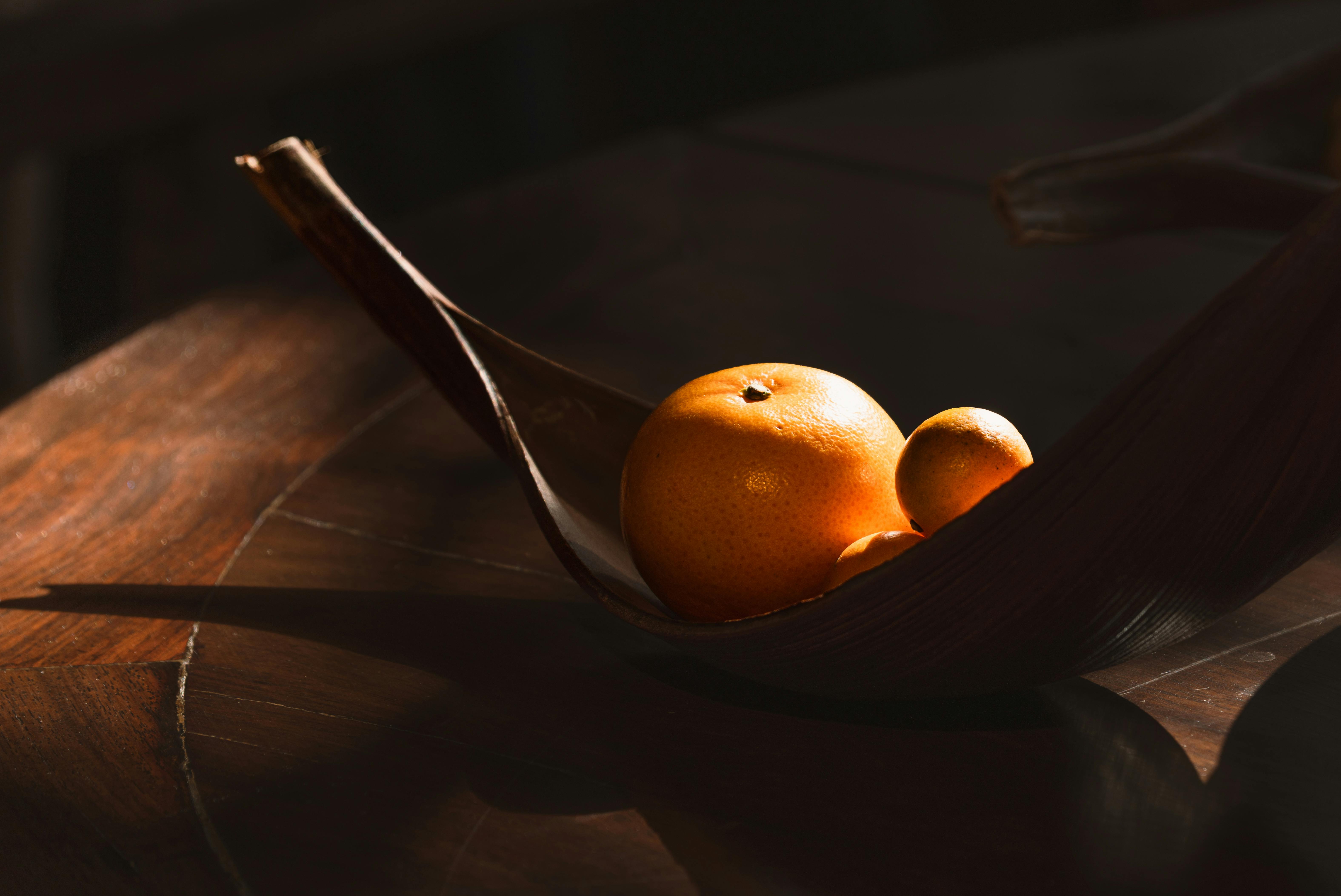 Manejo Integrado de Phyllocnistis citrella: Biología, Control Biológico y Tecnologías de Monitoreo