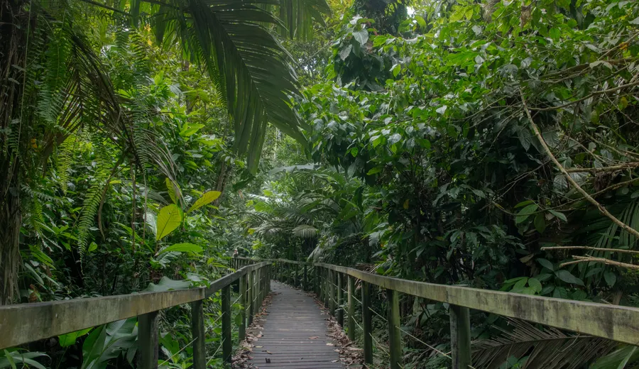 Jour 1 à Monteverde