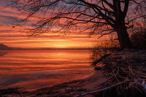 Free Breathtaking sunset over a peaceful lake with a silhouetted tree, creating a dramatic reflection on calm waters. Stock Photo