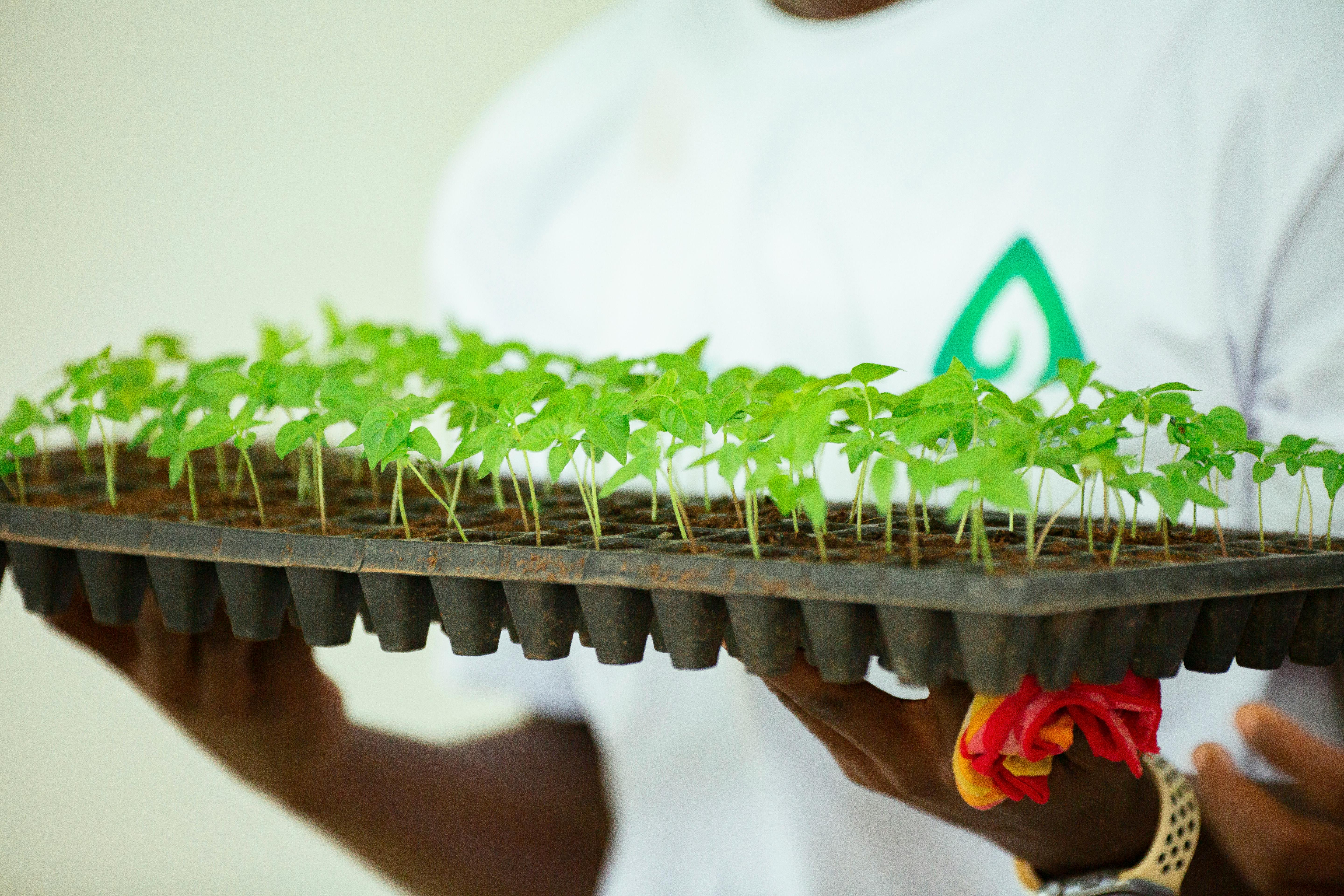 Durability‍ and Performance: what Sets T-fal ⁢Apart