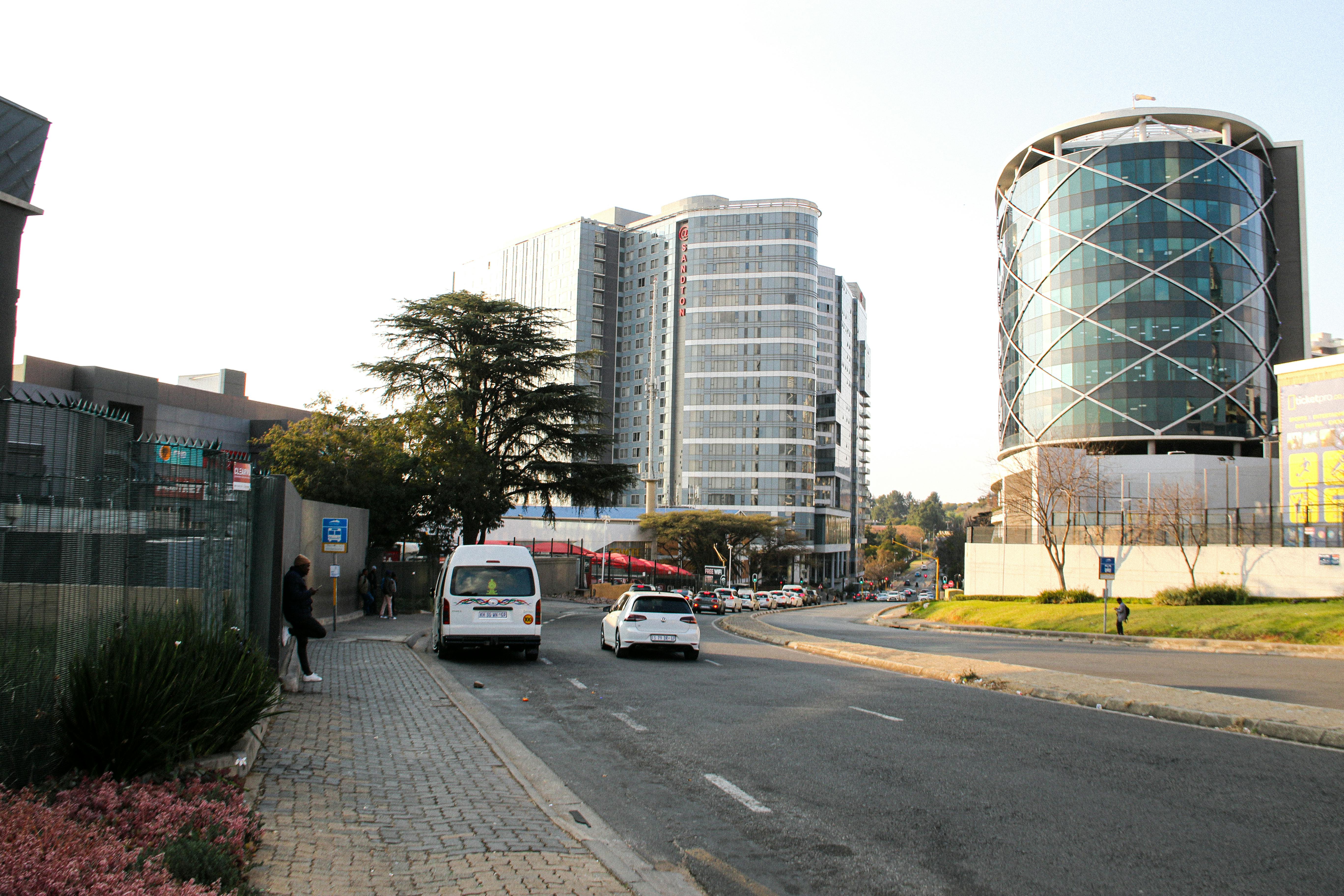 TRL begins search for new executive director — Photo by Ministar Samuel on Pexels