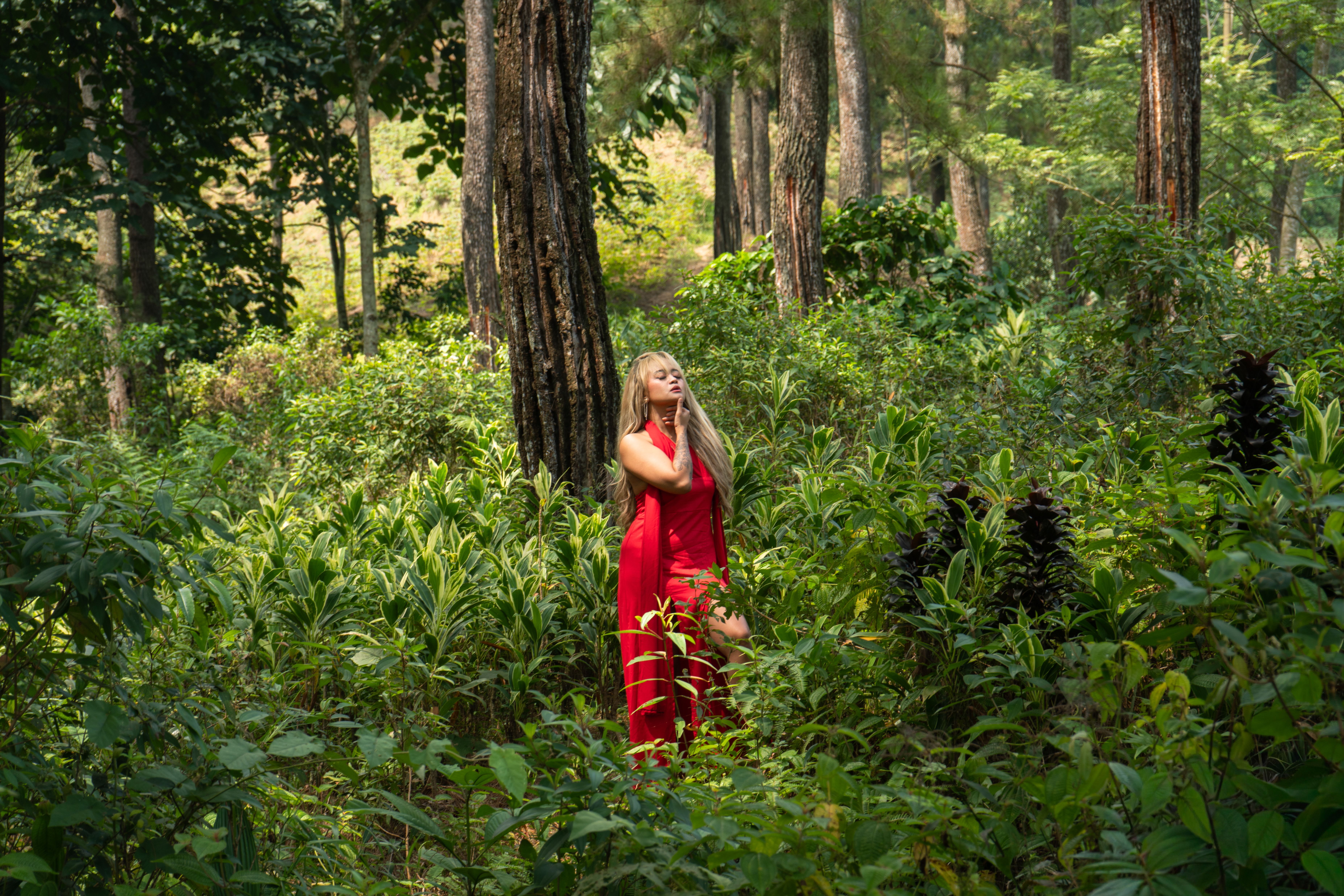 Elegant woman in red dress in forest setting · Free Stock Photo