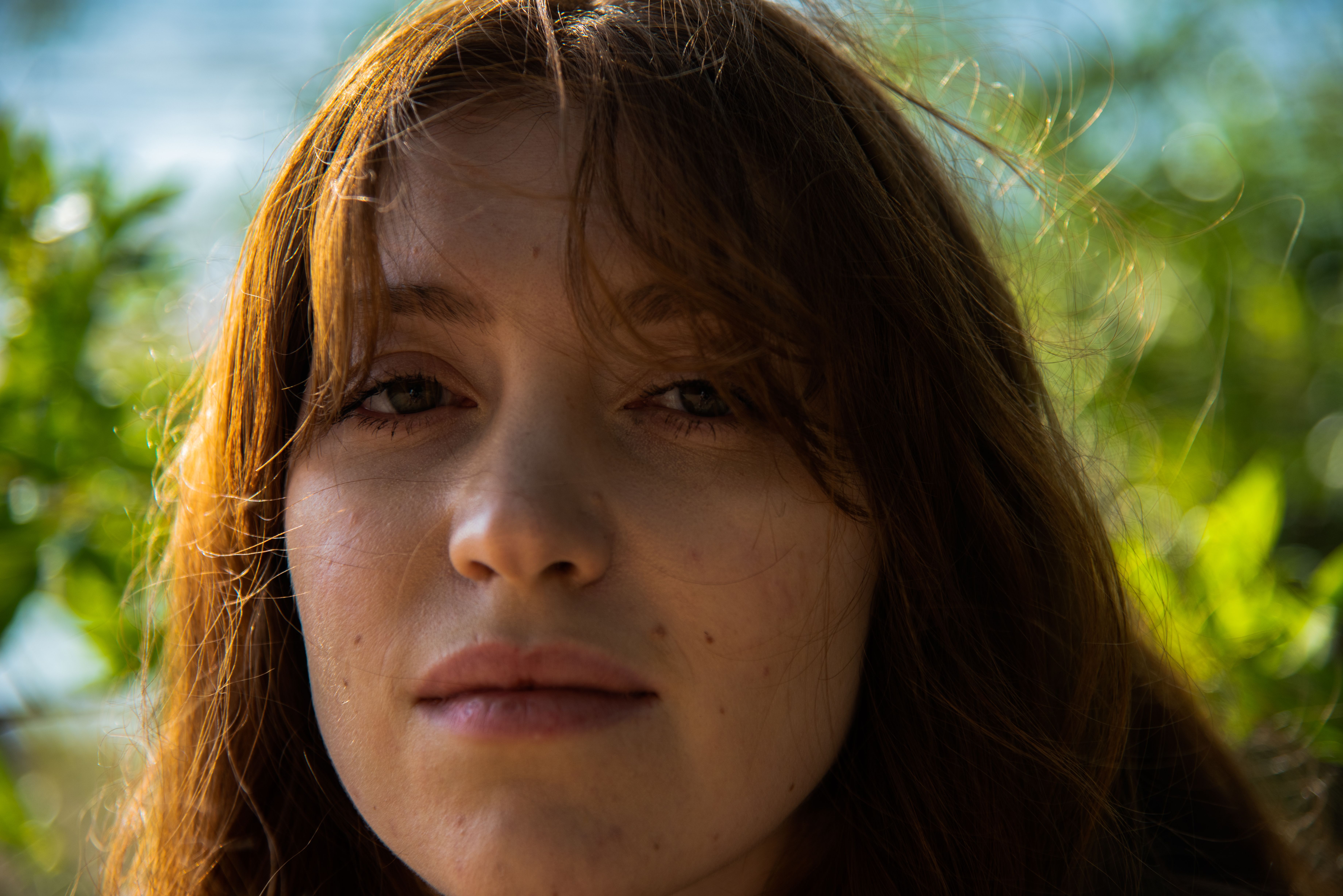 Portrait of a Woman in Natural Sunlight · Free Stock Photo