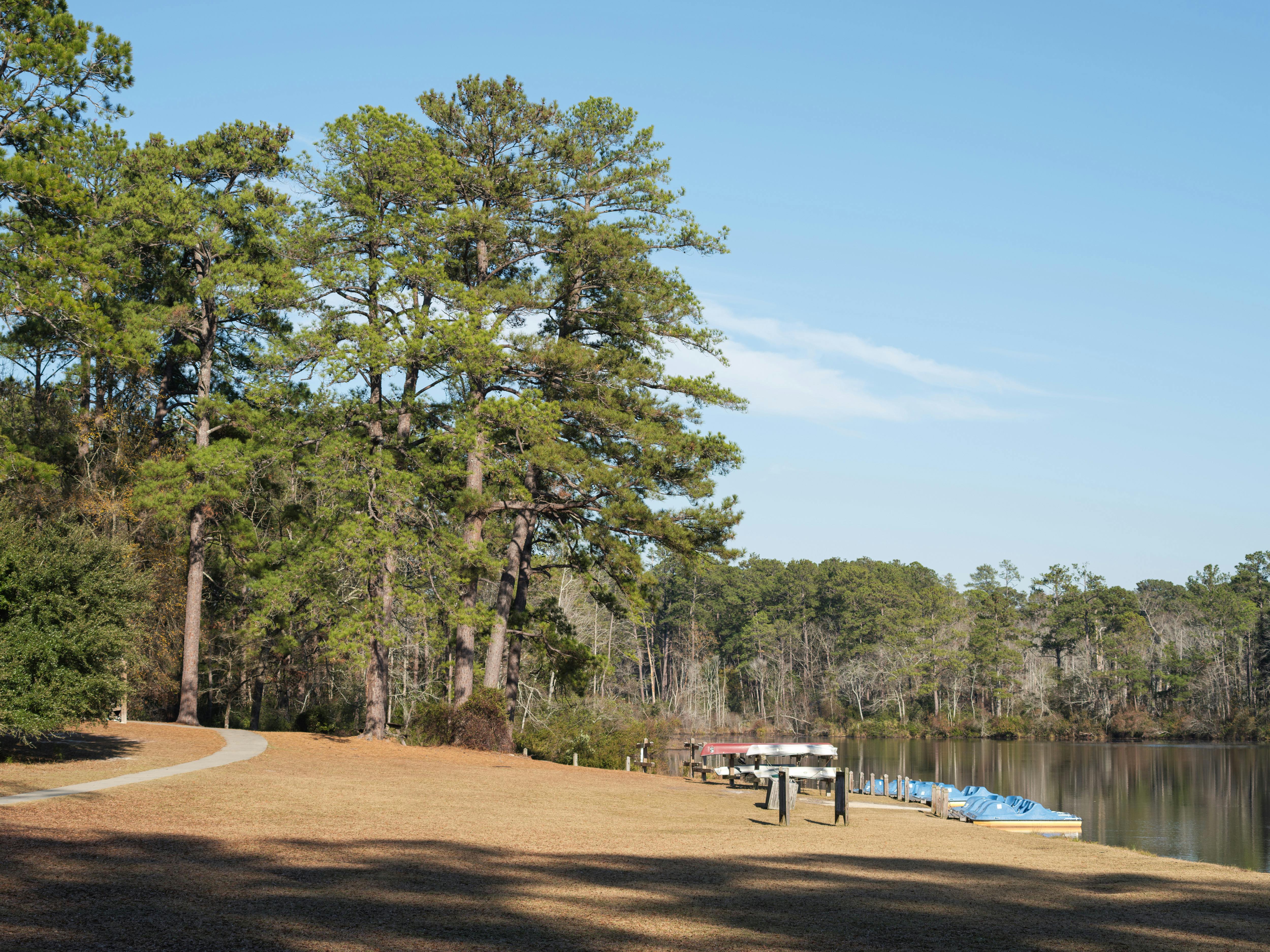 Columbia opens third outdoor fitness court at Rosewood Park — Photo by Jared Brotman on Pexels