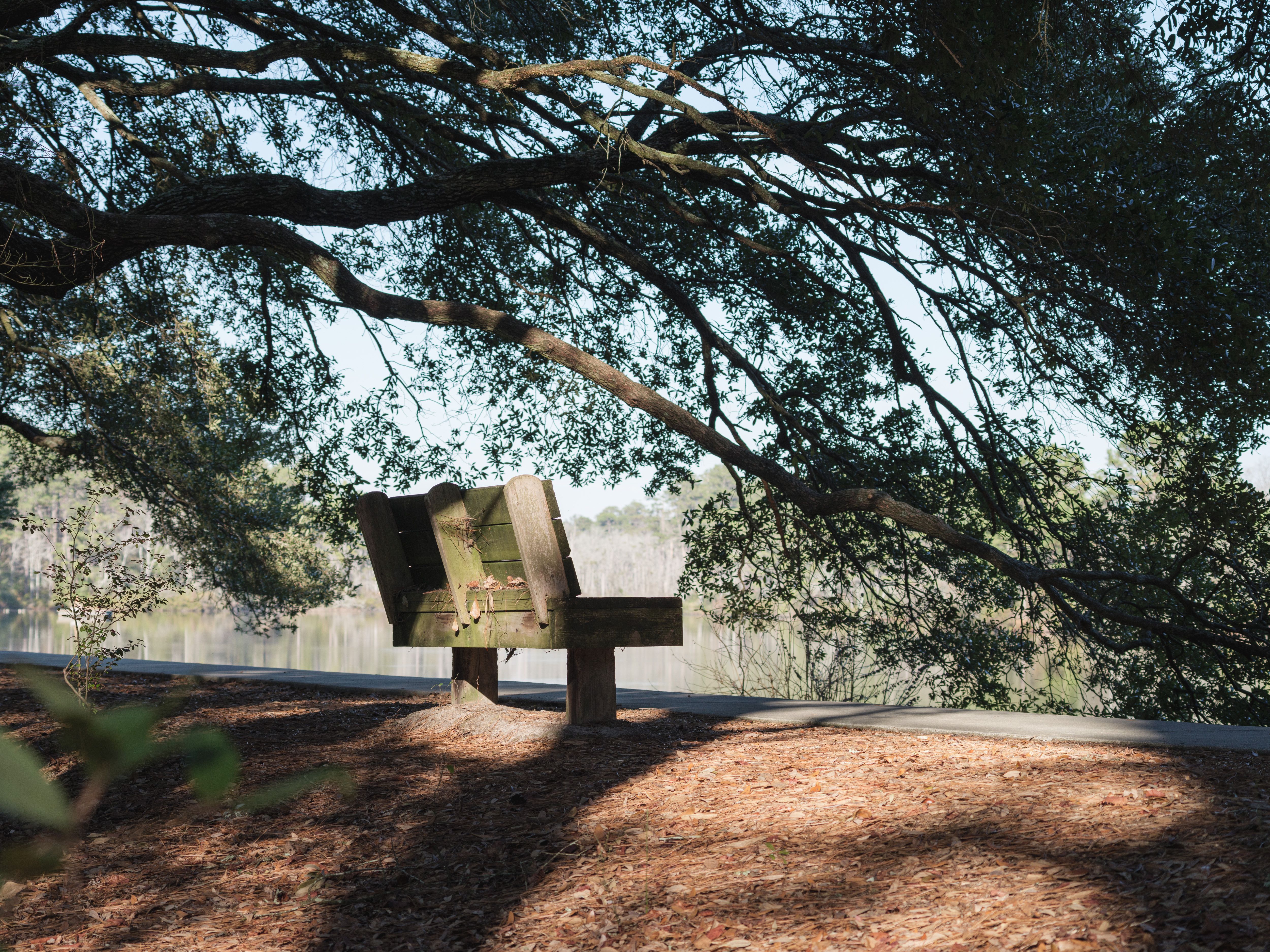 Columbia opens third outdoor fitness court at Rosewood Park — Photo by Jared Brotman on Pexels