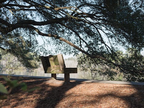 Serene park bench under oak tree by a reflective lake, inviting tranquility.