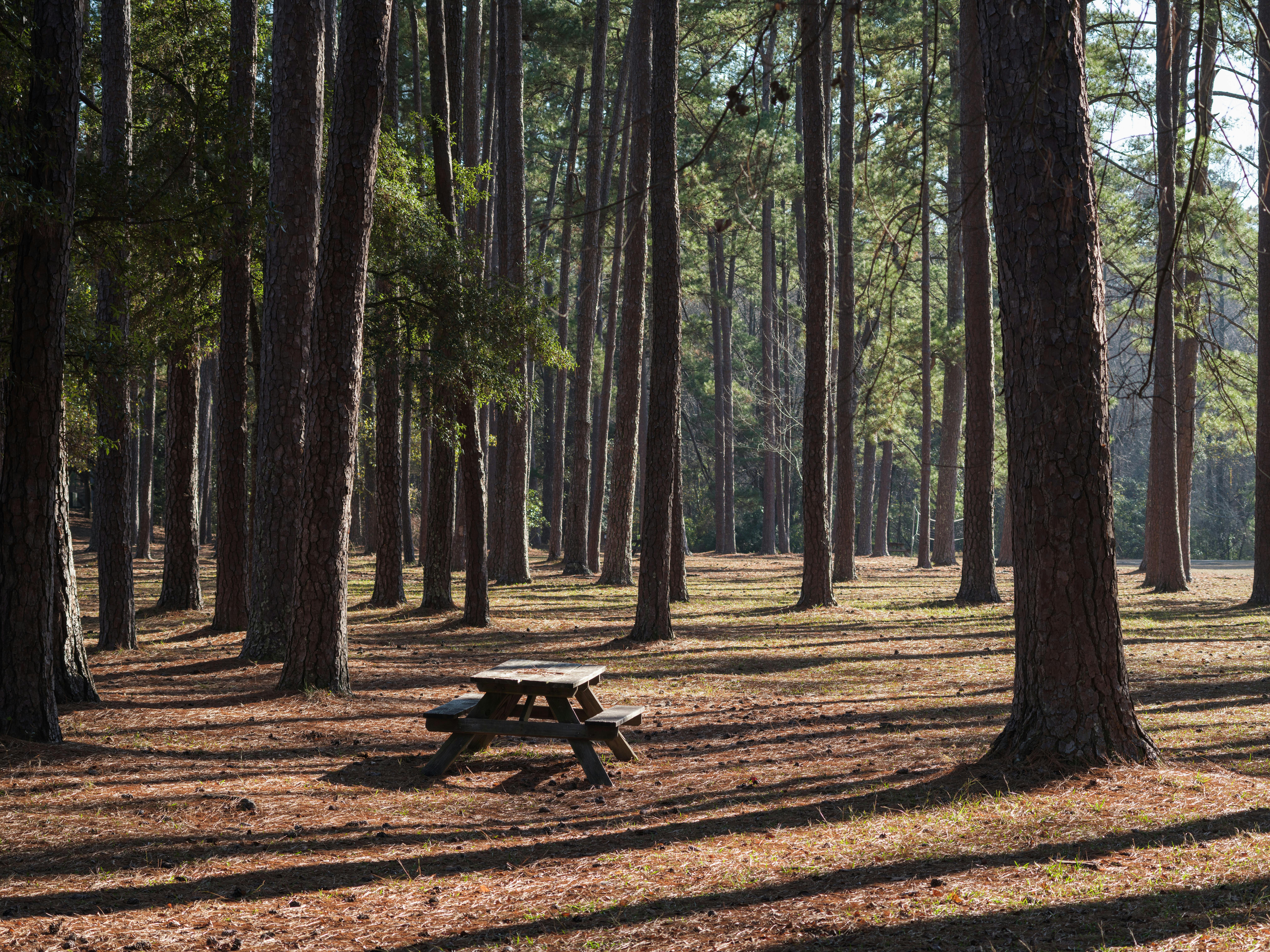Landmarks in South Carolina