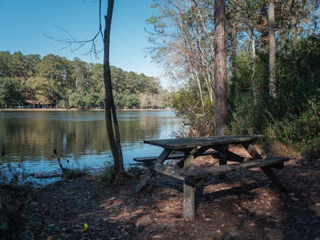 Serene lakeside view with a picnic table in Columbia, SC forest.