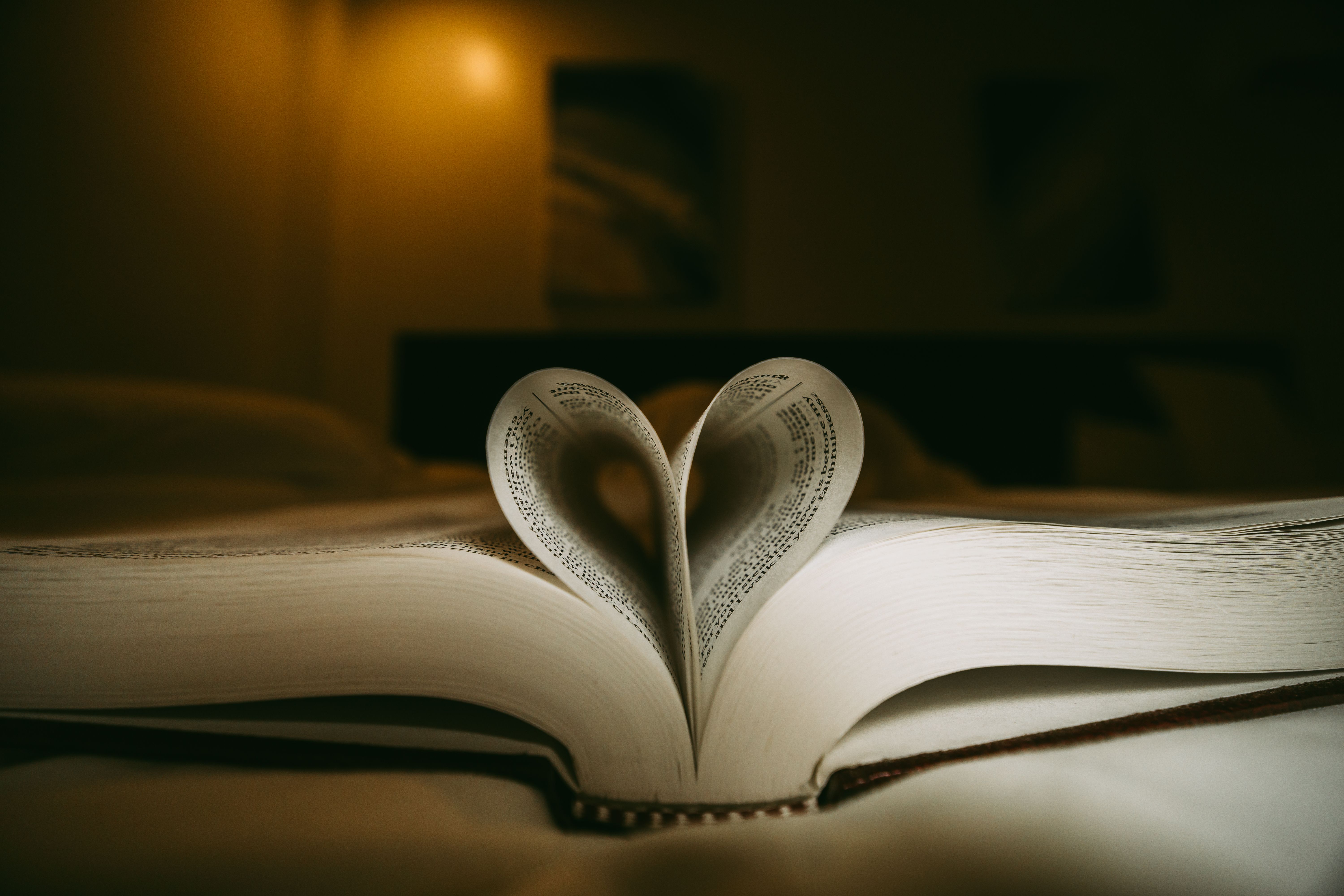 Open book with pages forming a heart shape in warm, ambient lighting. Cozy and romantic atmosphere.