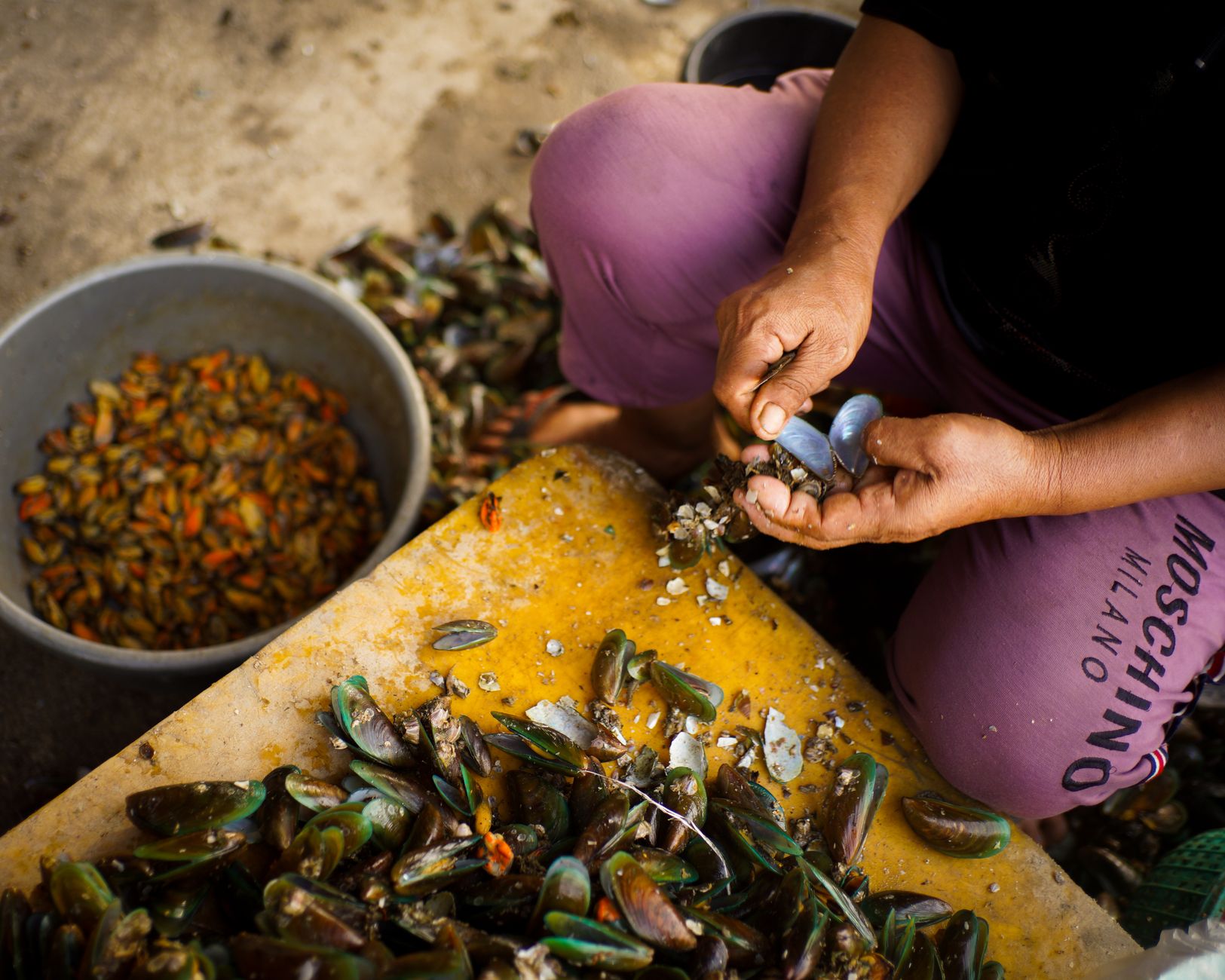 Fresh mussels being cleaned in a kitchen sink with a brush