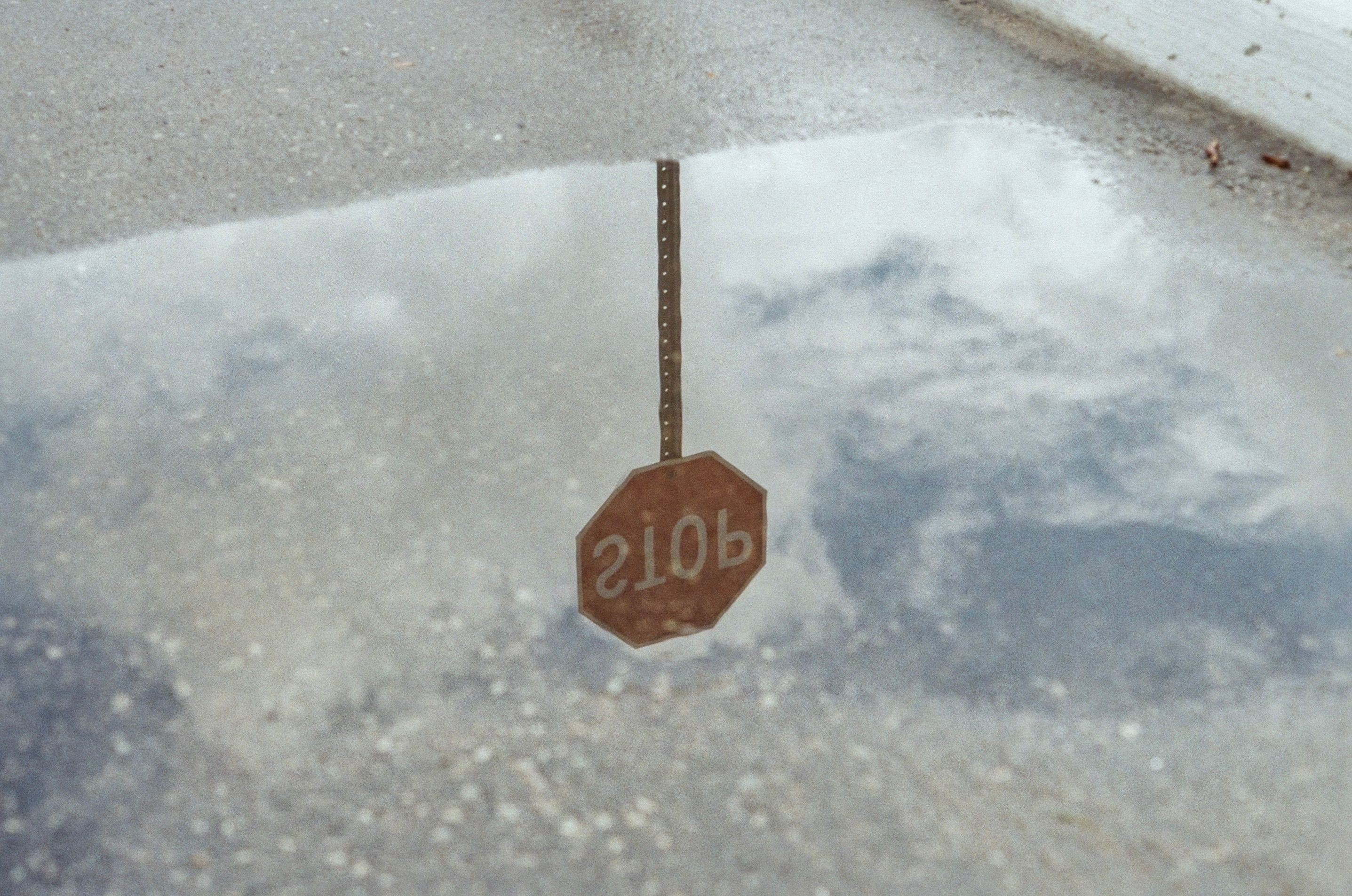 Creative Reflection of a Stop Sign in a Puddle · Free Stock Photo