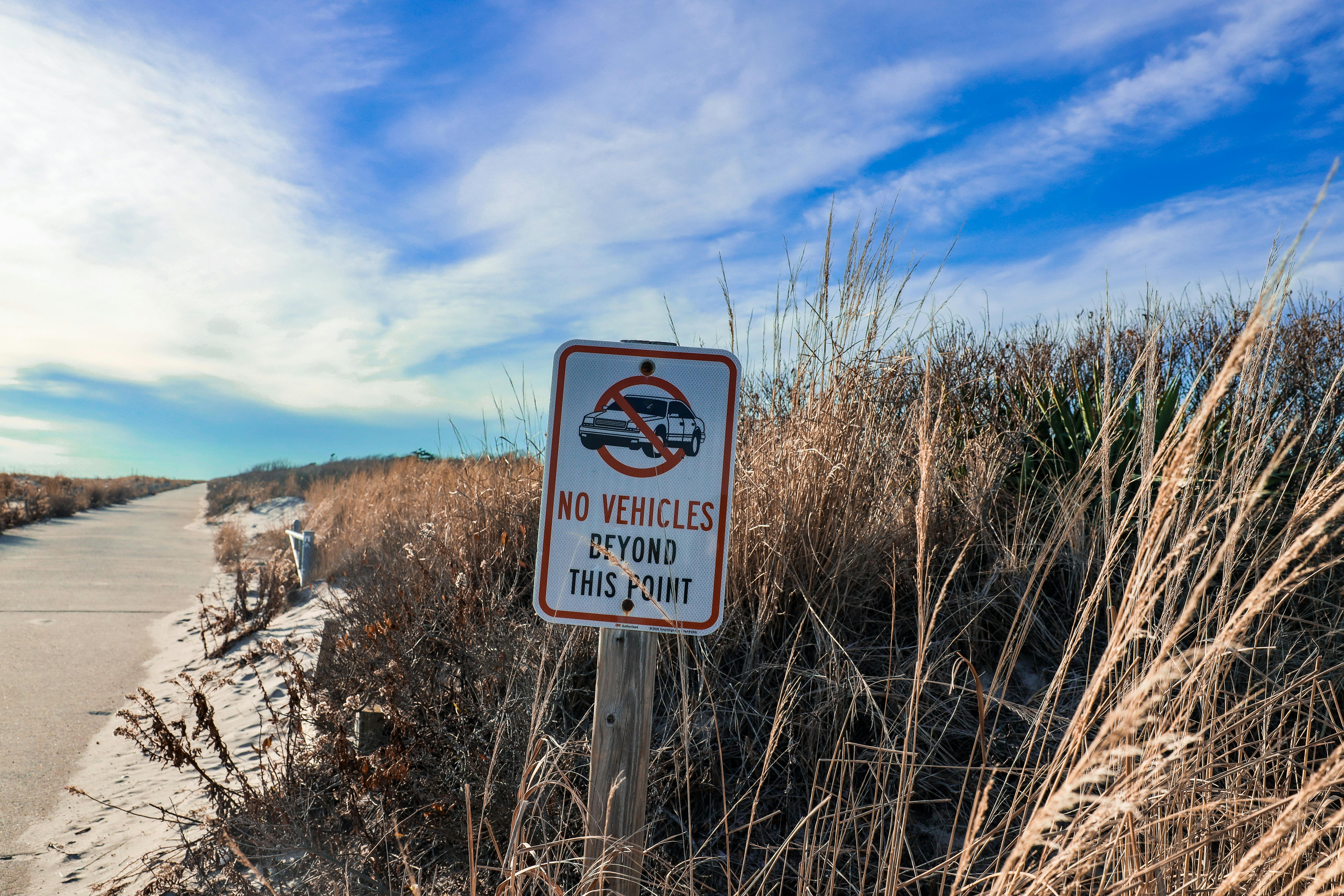 beyond dunes: mackage's