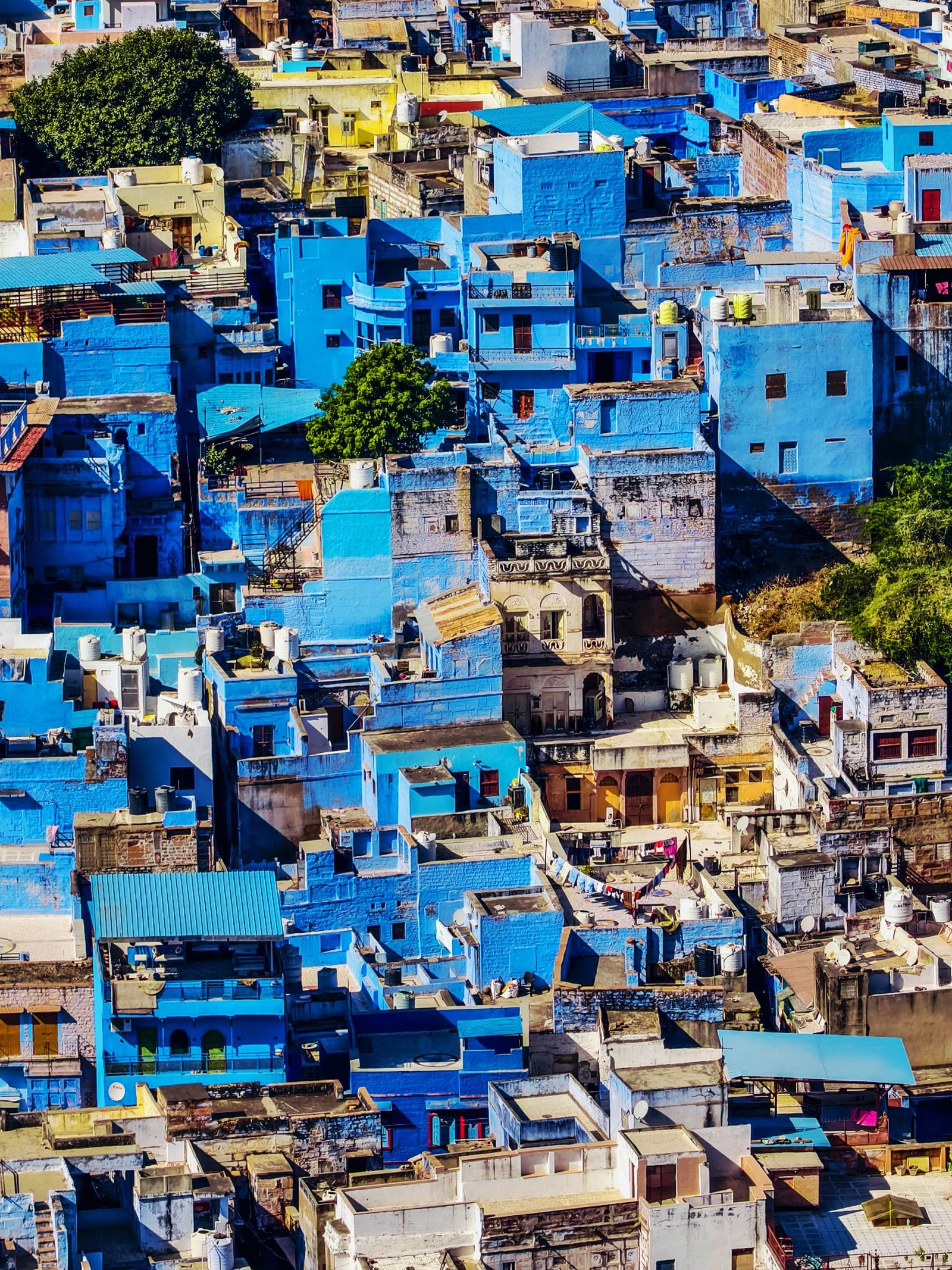 The Blue City of Jodhpur