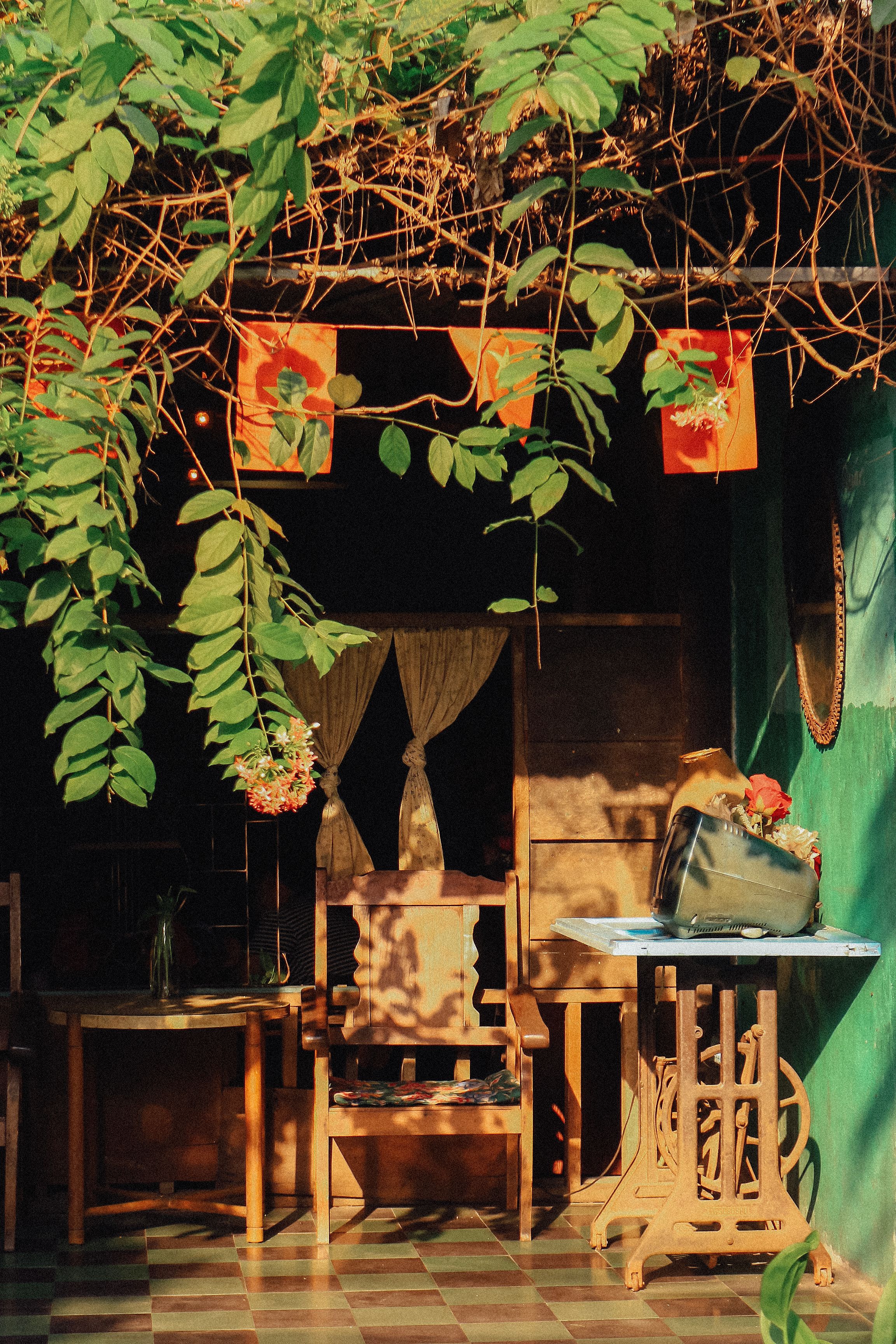 Charming small cafe in Ho Chi Minh City with vintage decor and lush greenery.