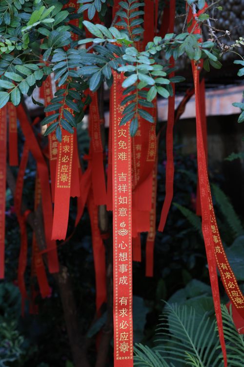 Free Red wishing ribbons with Chinese blessings hanging on a tree outdoors. Stock Photo