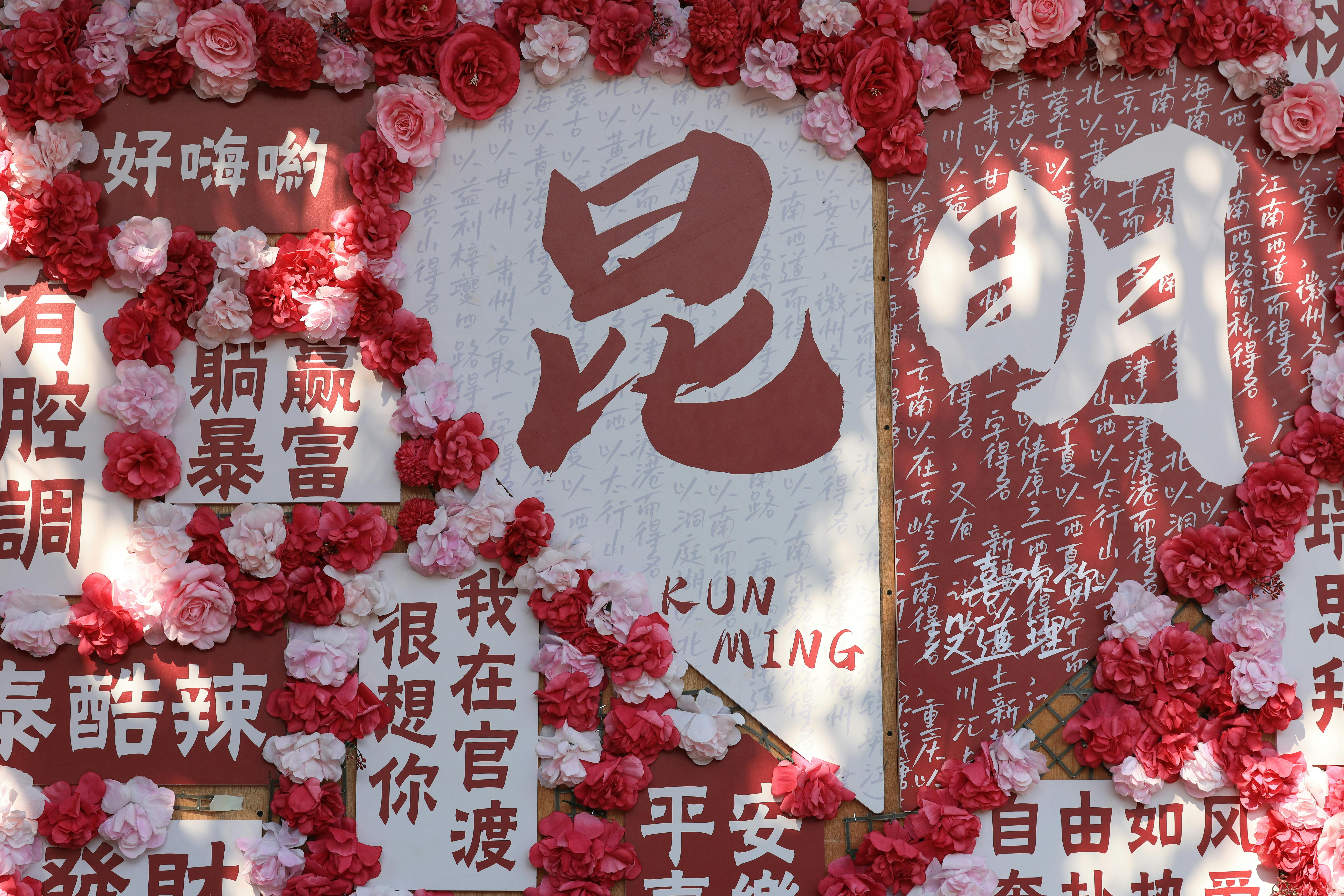 Kunming, China (exception for Yunnan's diversity) - travel photo