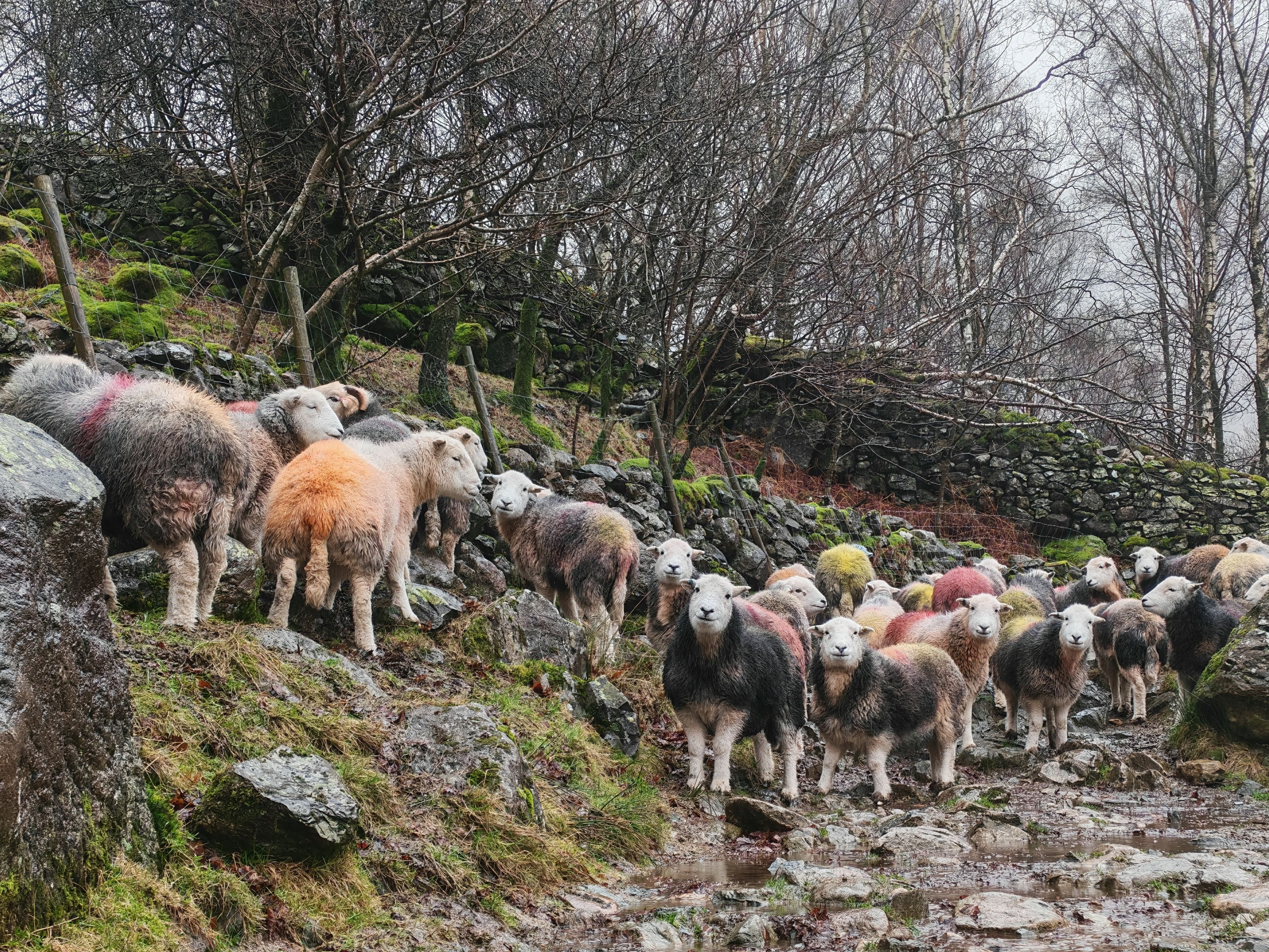 Lake District in December: What to Expect