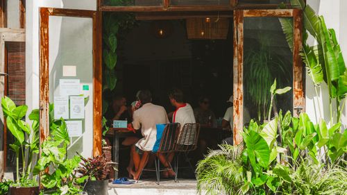 Free A group of adults enjoying a relaxing afternoon in a cozy cafe with lush indoor plants. Stock Photo