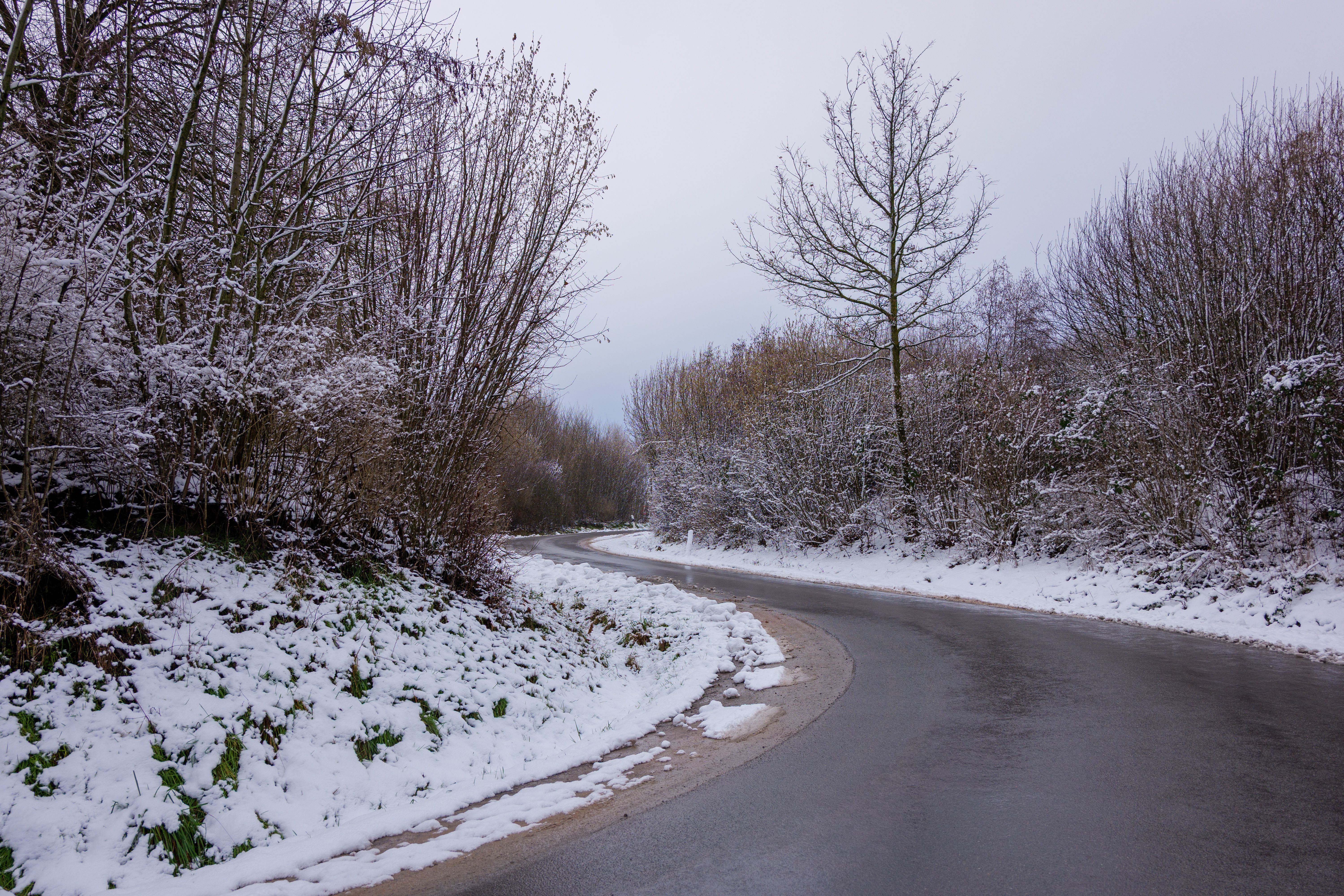 Snow-covered Road Curves Through Winter Forest · Free Stock Photo